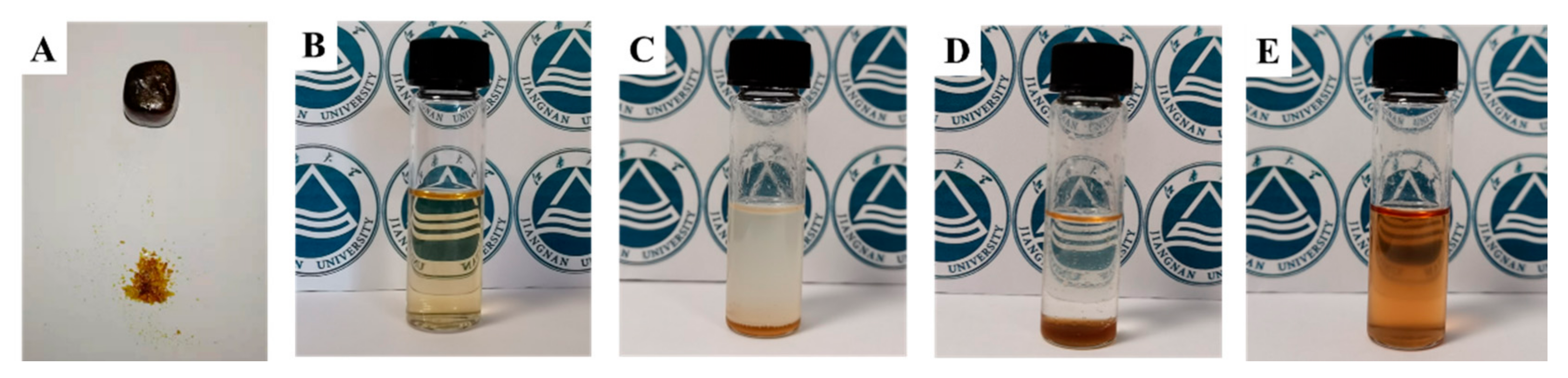 Polymers 13 00666 g001