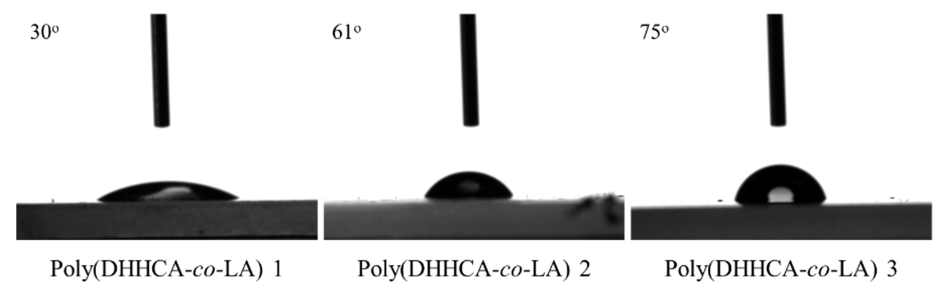 Polymers 13 00666 g005
