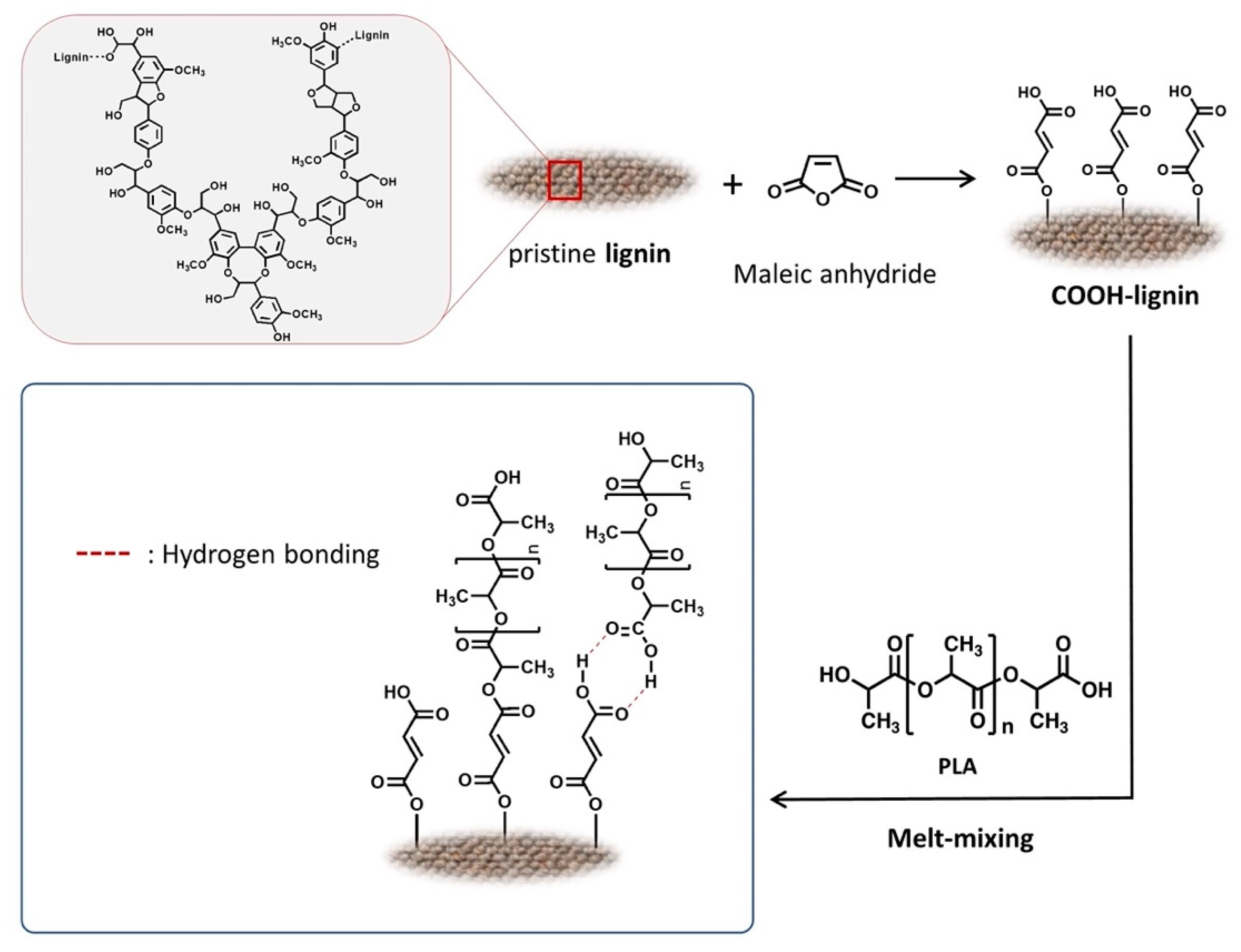Polymers 13 00667 sch001