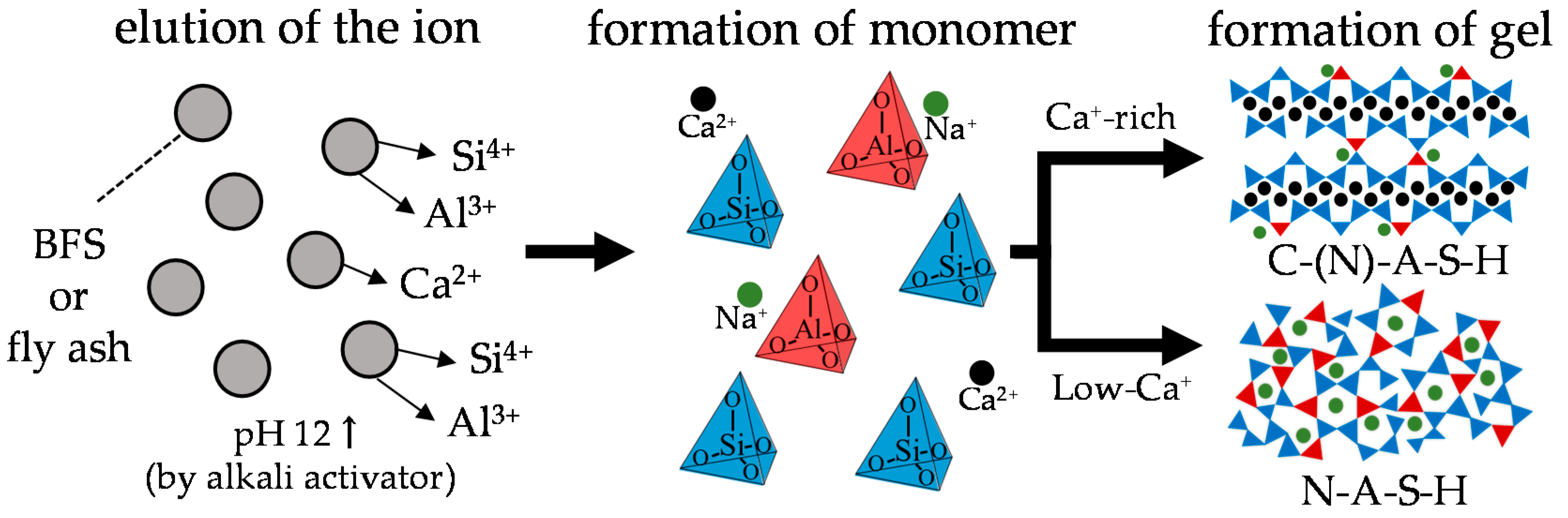 Polymers 13 00671 g001