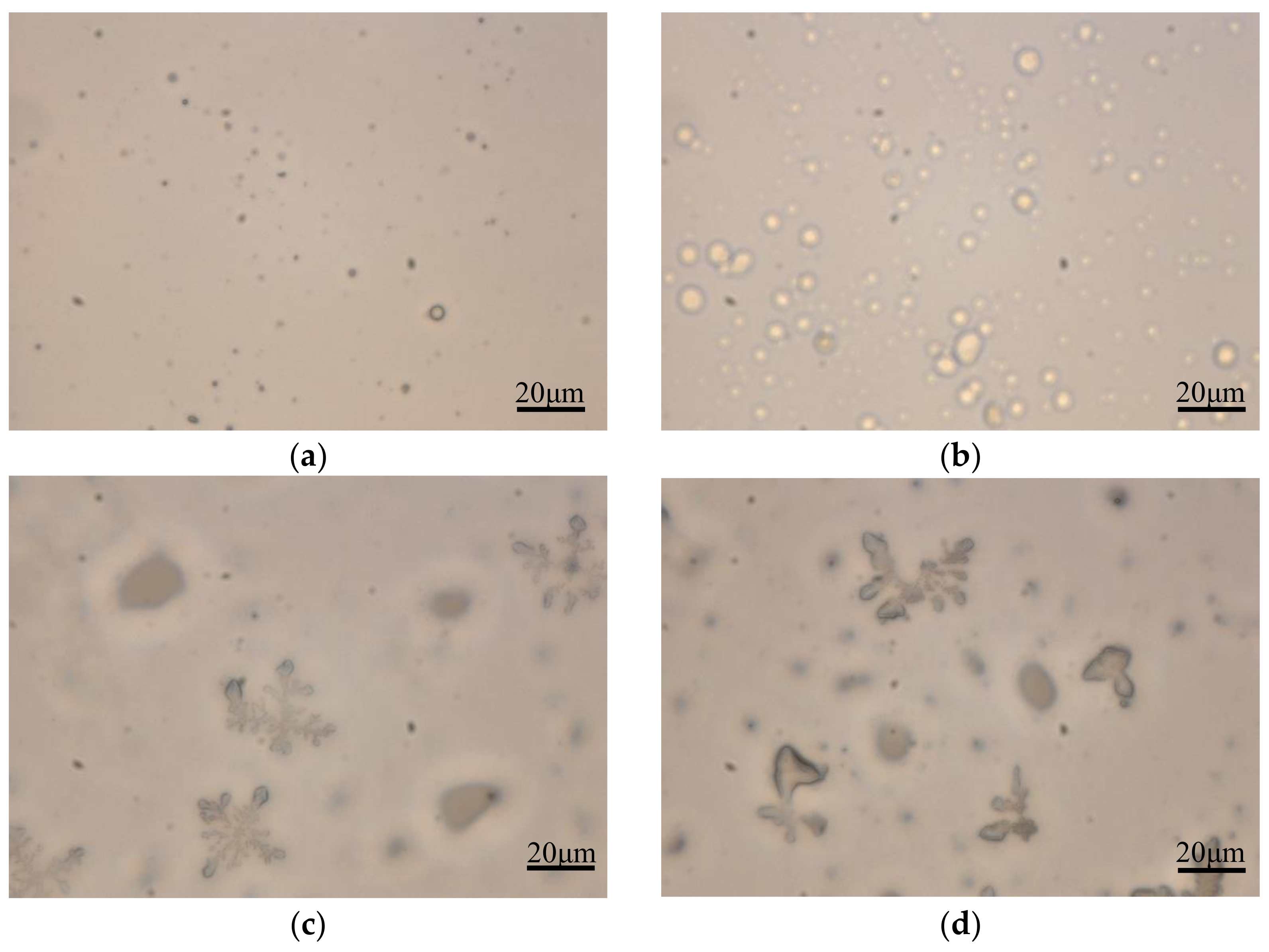 Polymers 13 00673 g001