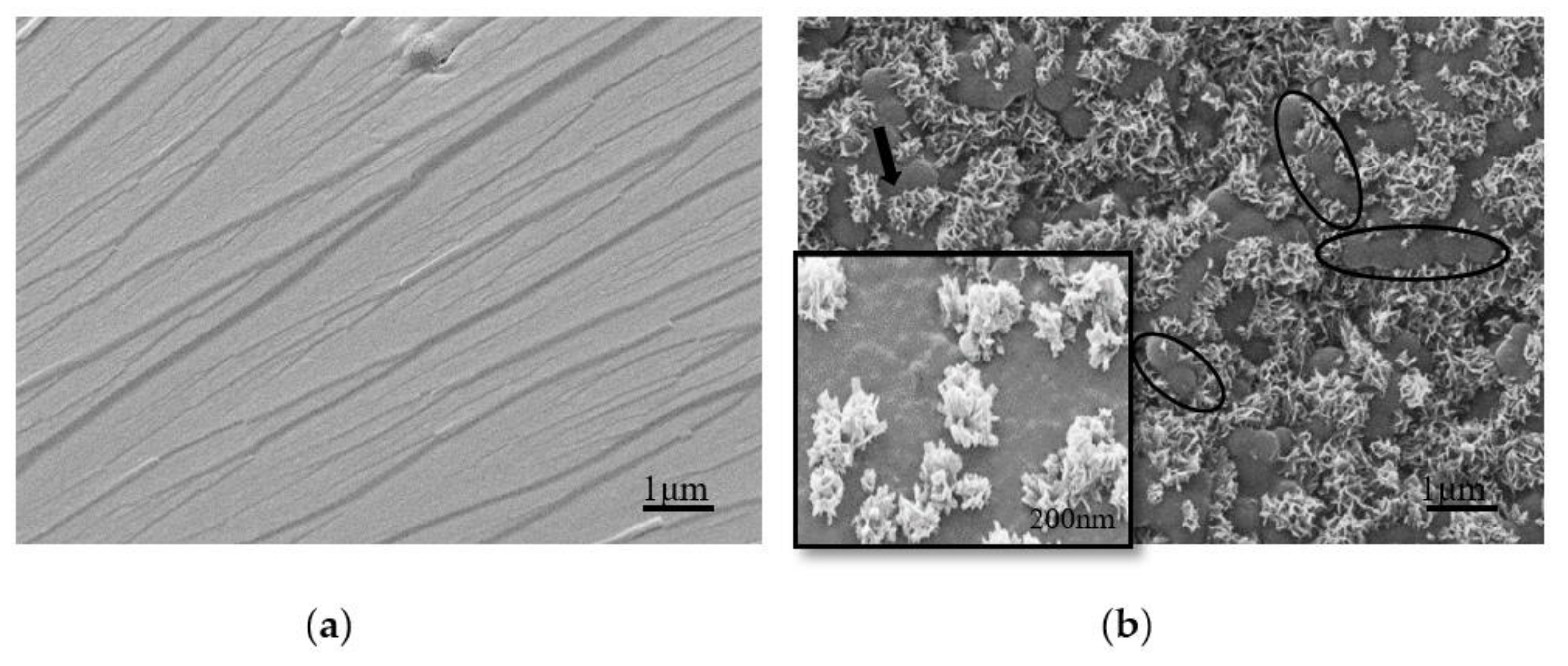 Polymers 13 00673 g008
