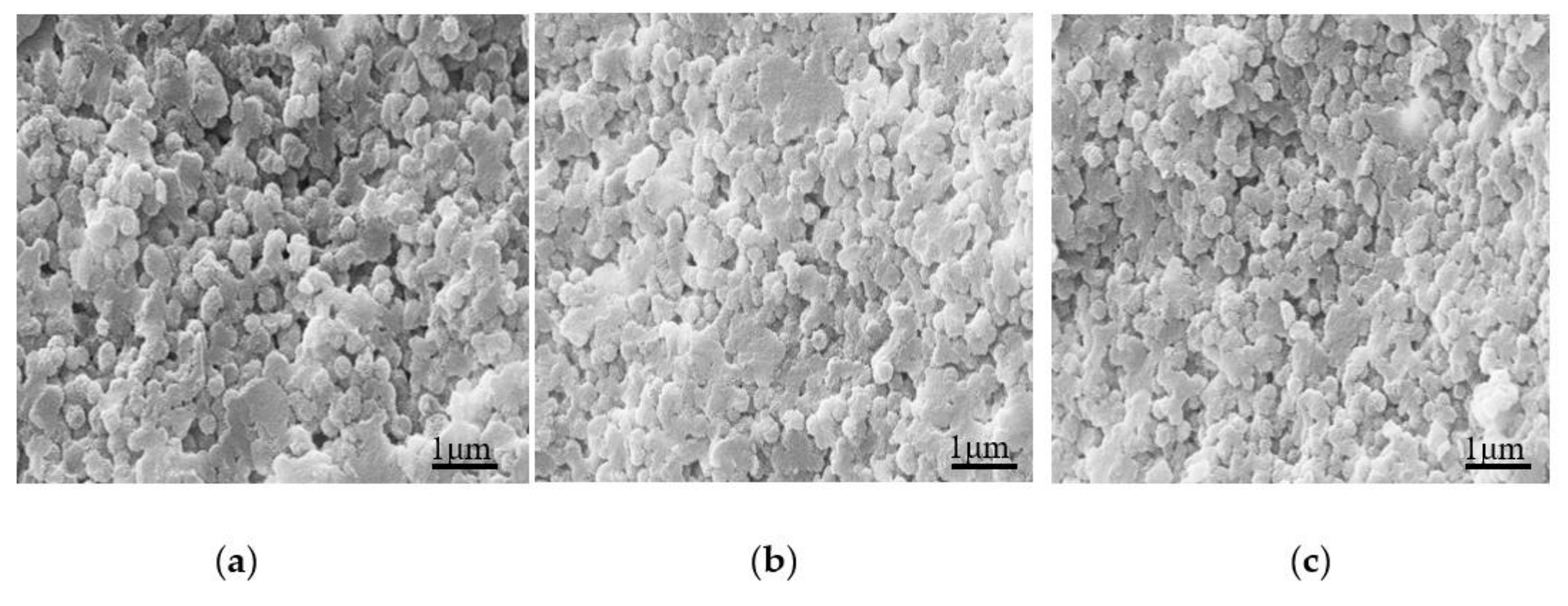 Polymers 13 00673 g009