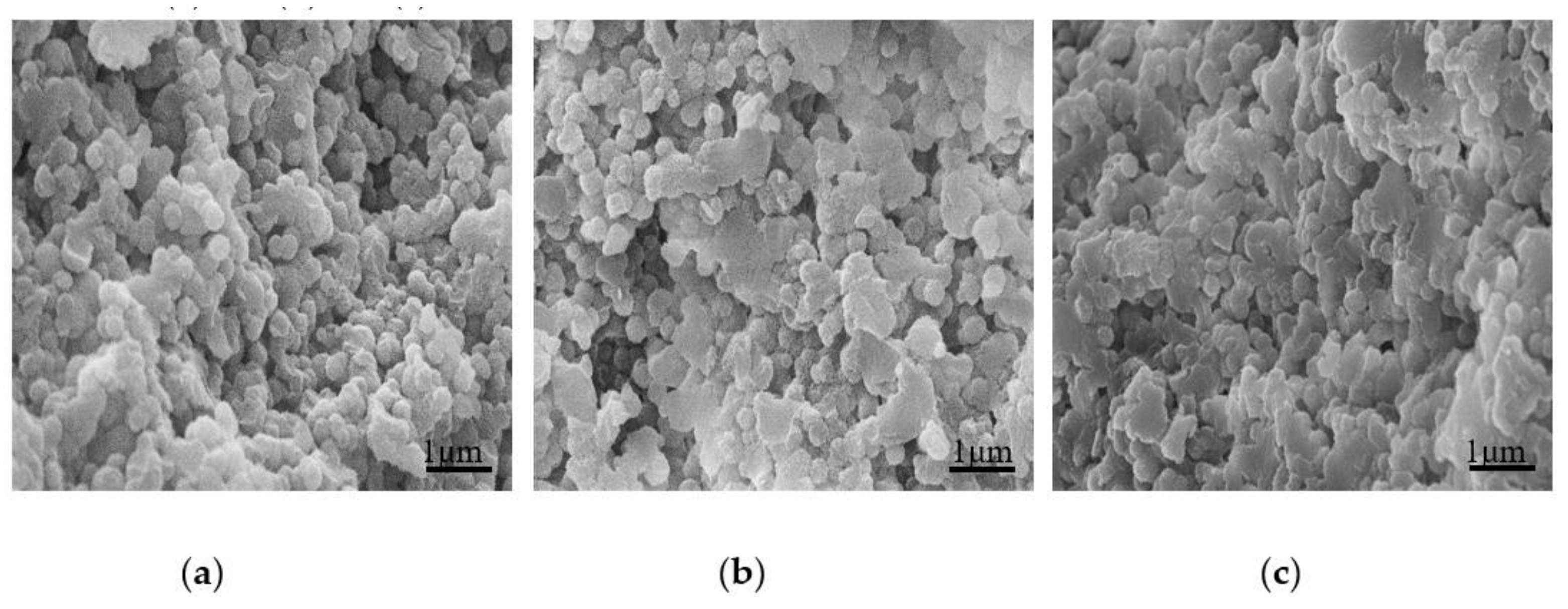 Polymers 13 00673 g010
