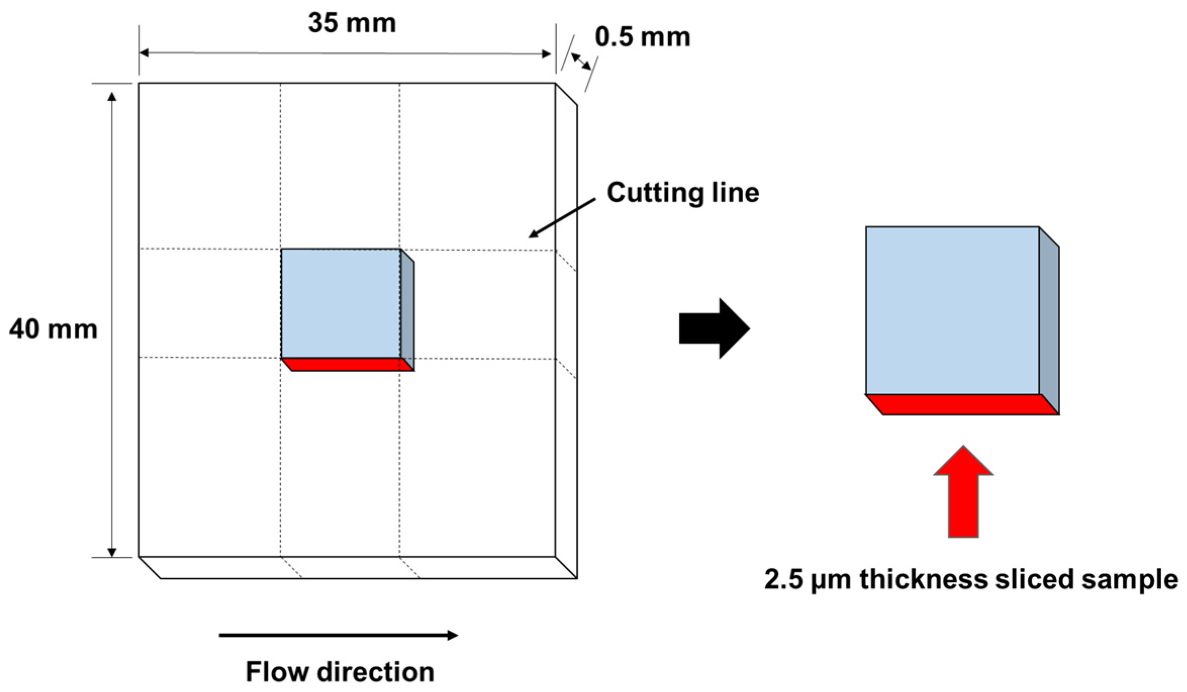 Polymers 13 00680 g002