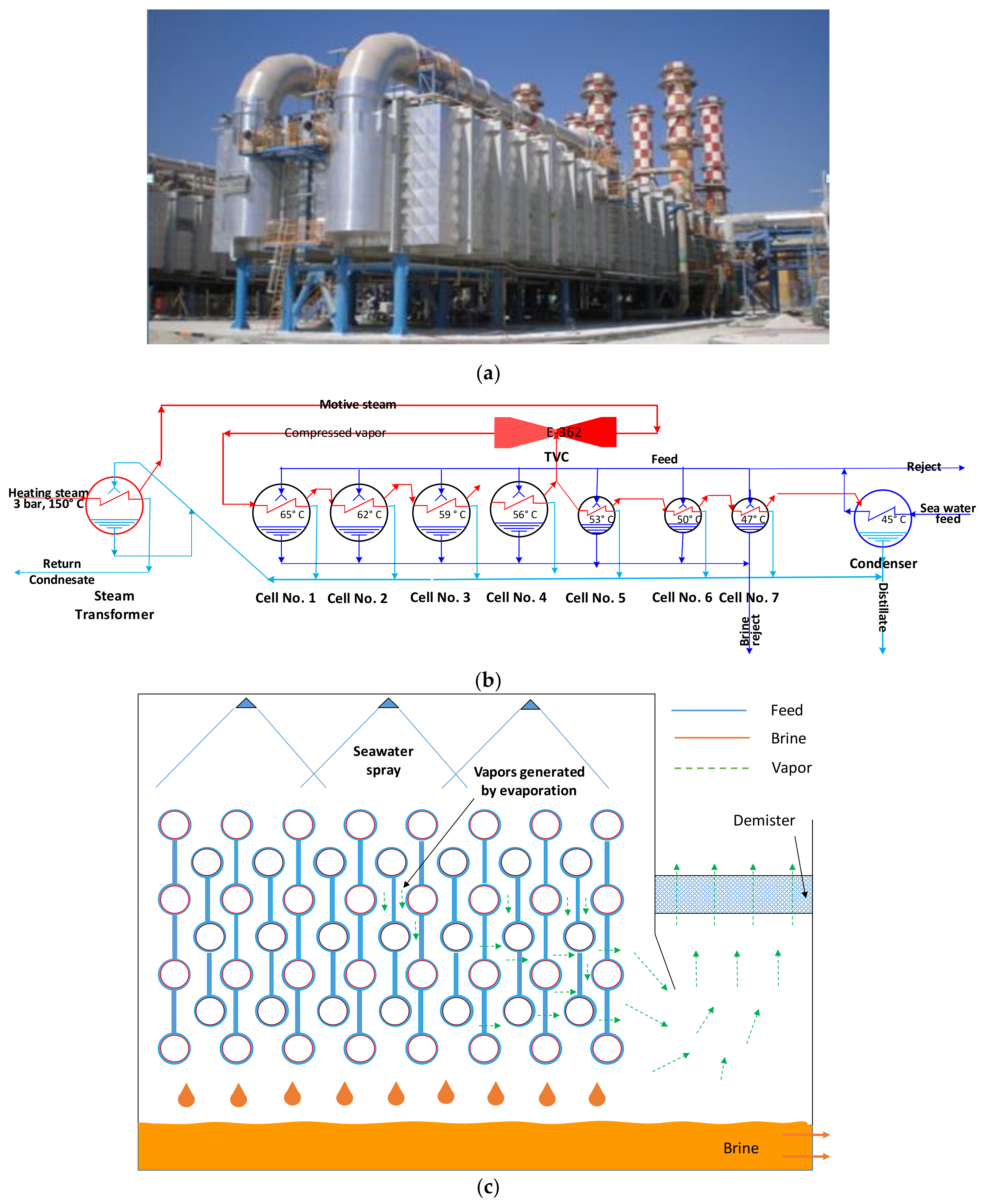 Polymers 13 00681 g001