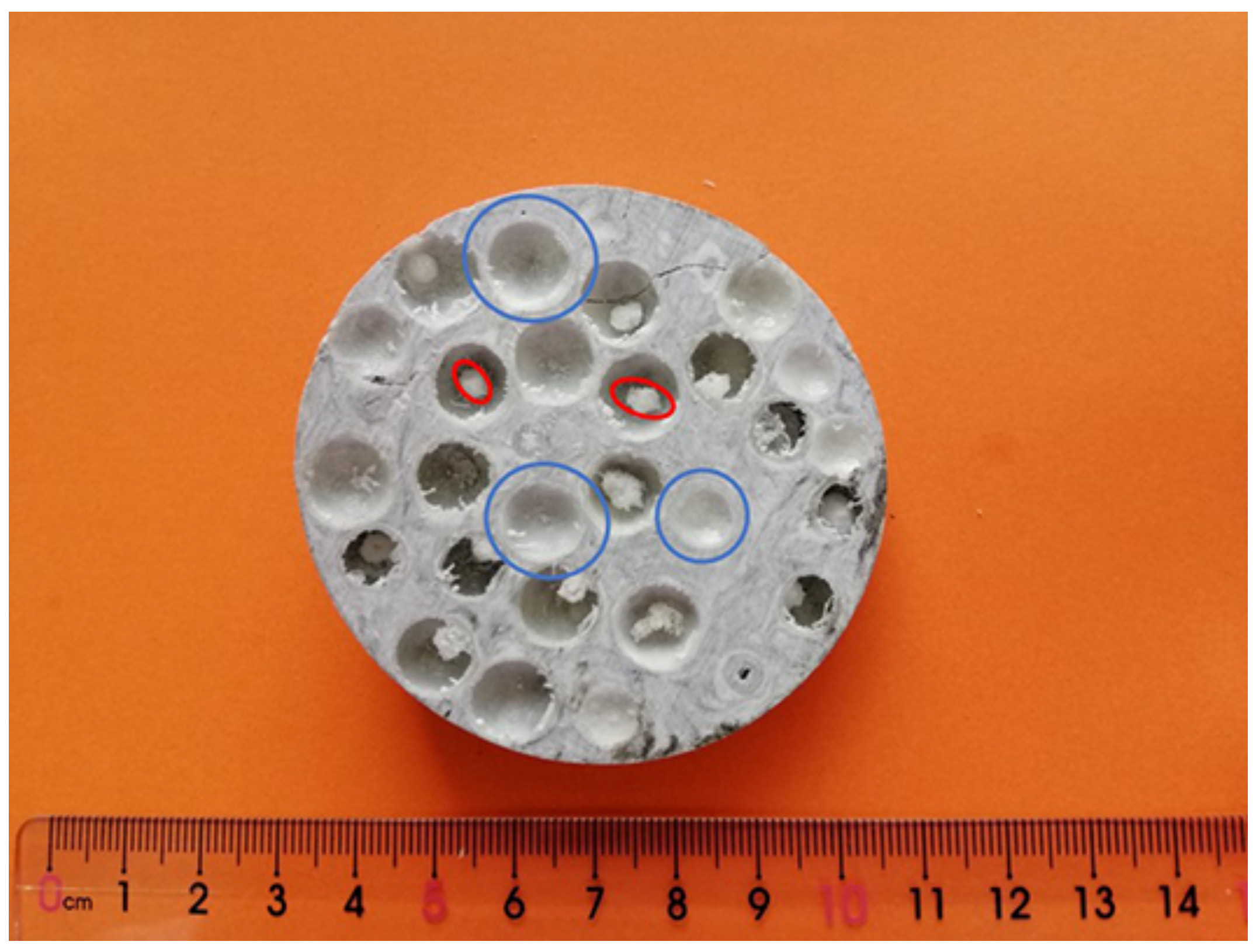 Polymers 13 00683 g005