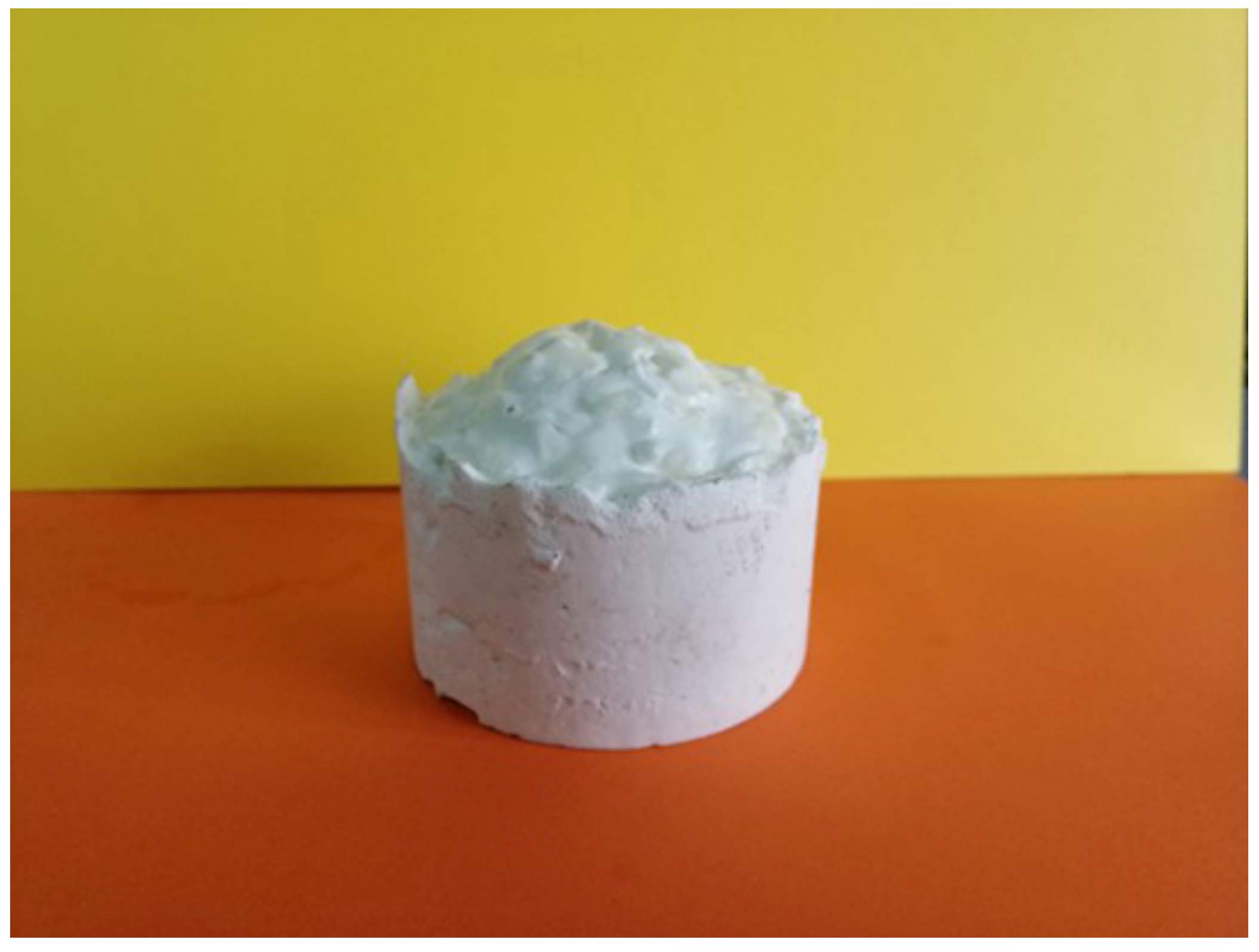 Polymers 13 00683 g015