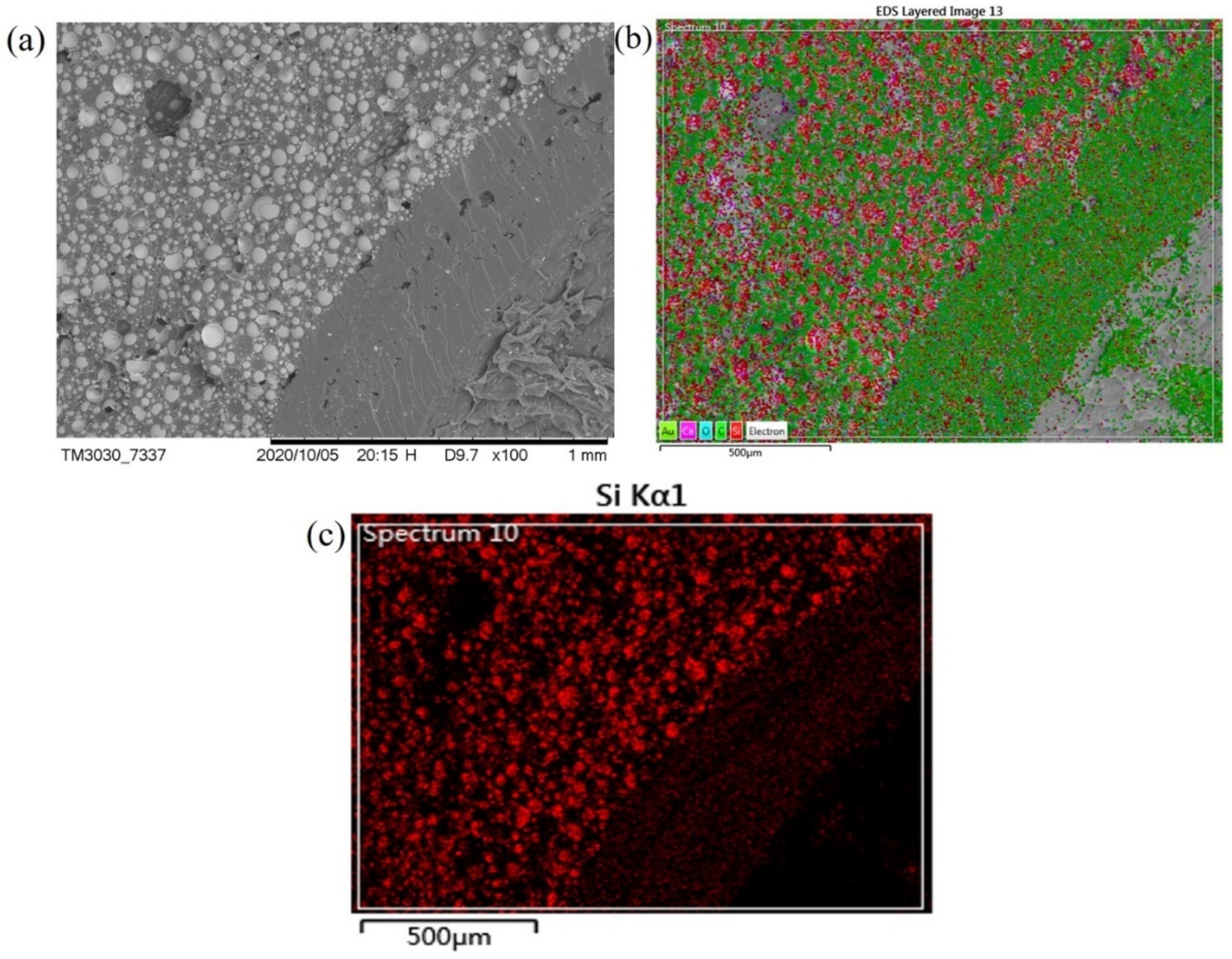 Polymers 13 00683 g018