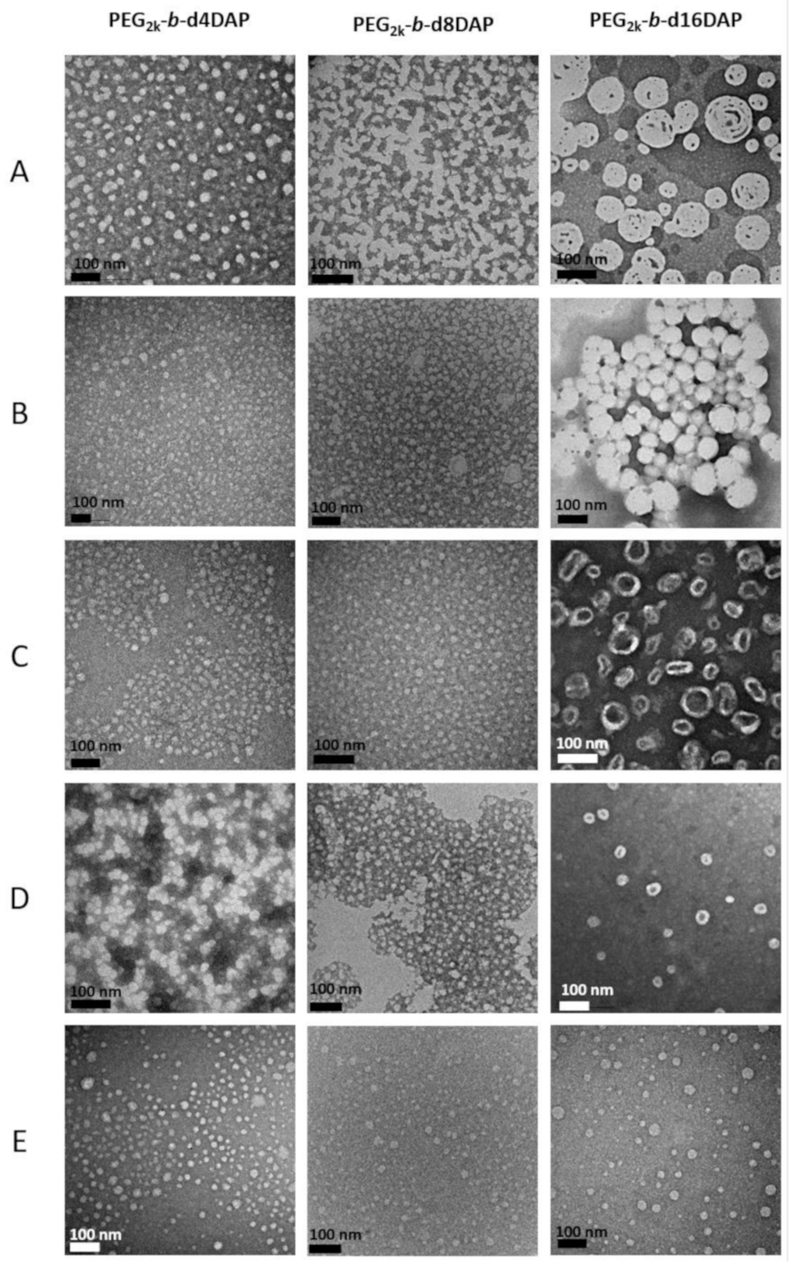 Polymers 13 00684 g002
