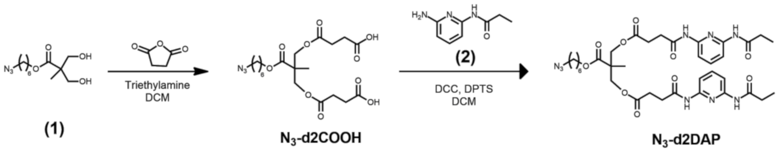 Polymers 13 00684 sch002