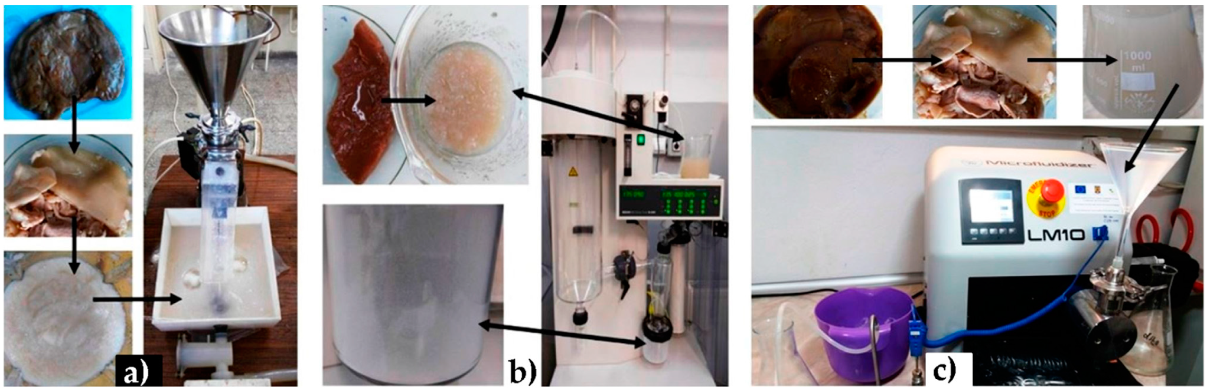 Polymers 13 00689 g004