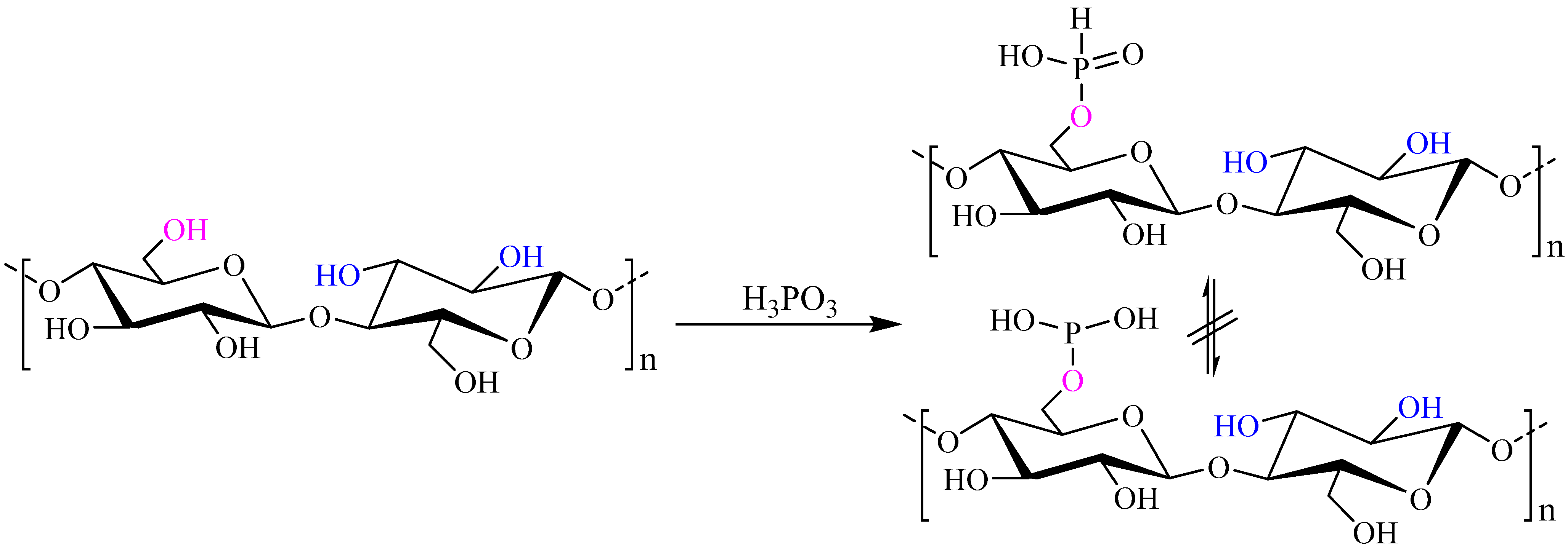 Polymers 13 00689 g005