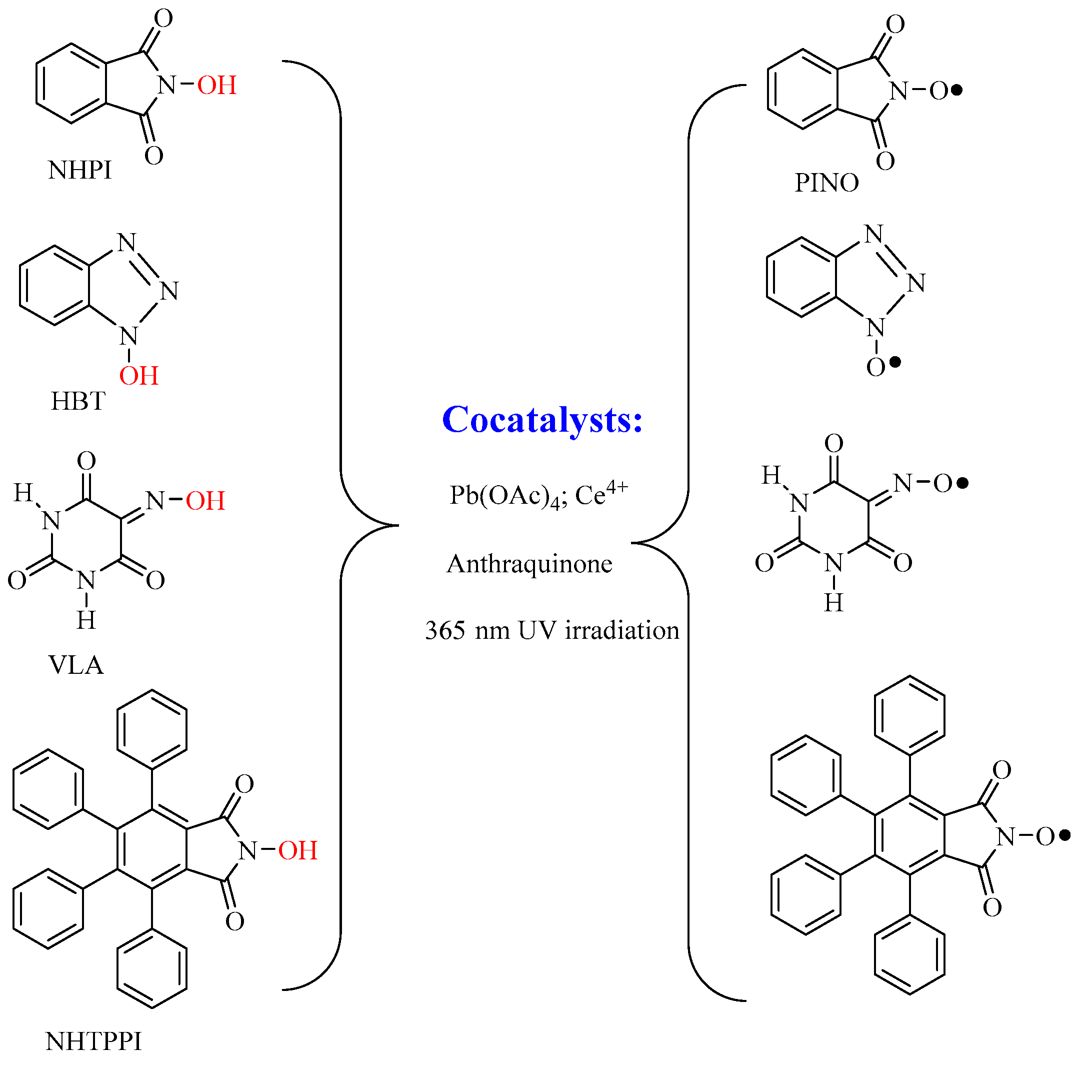 Polymers 13 00689 g006