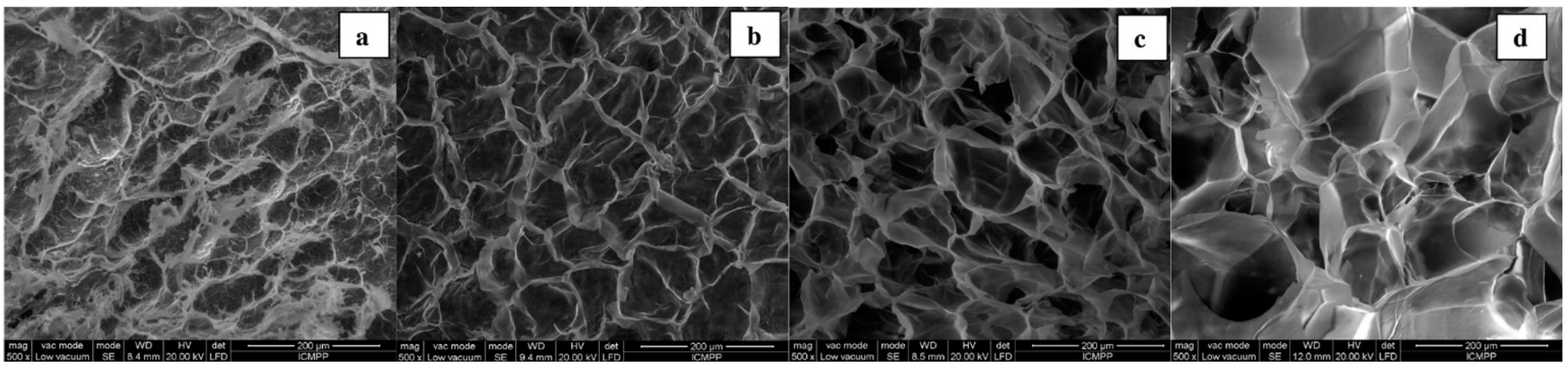 Polymers 13 00689 g008