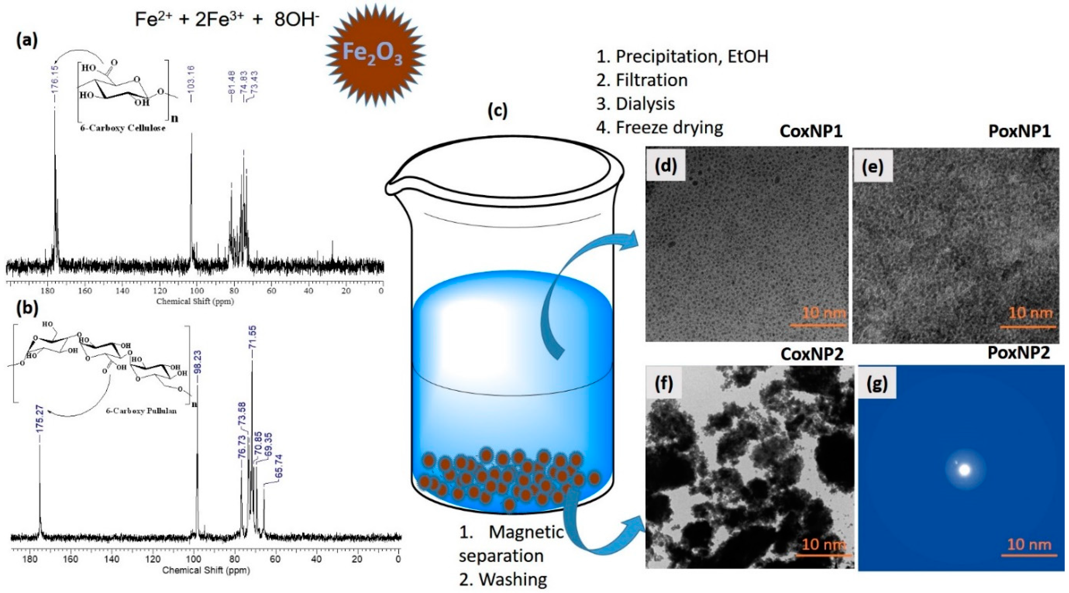 Polymers 13 00689 g012