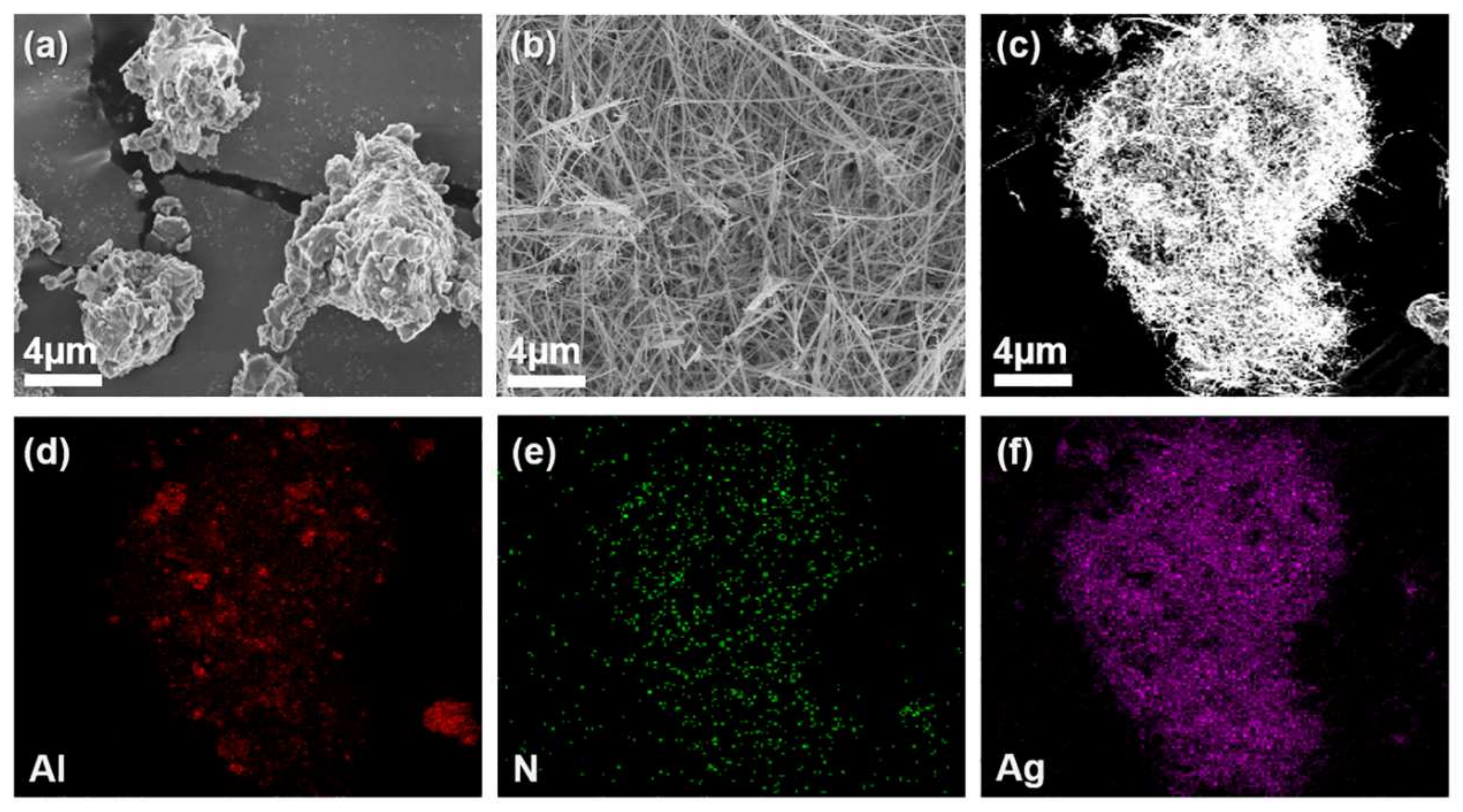 Polymers 13 00694 g002