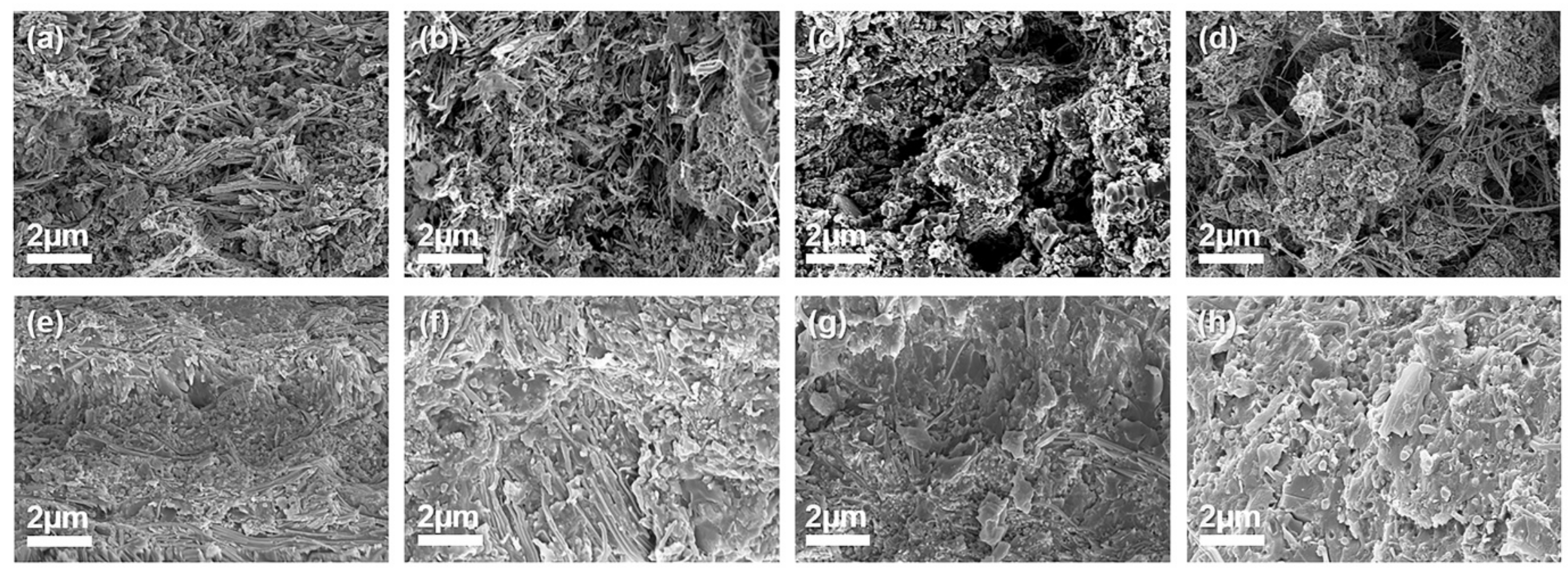Polymers 13 00694 g005