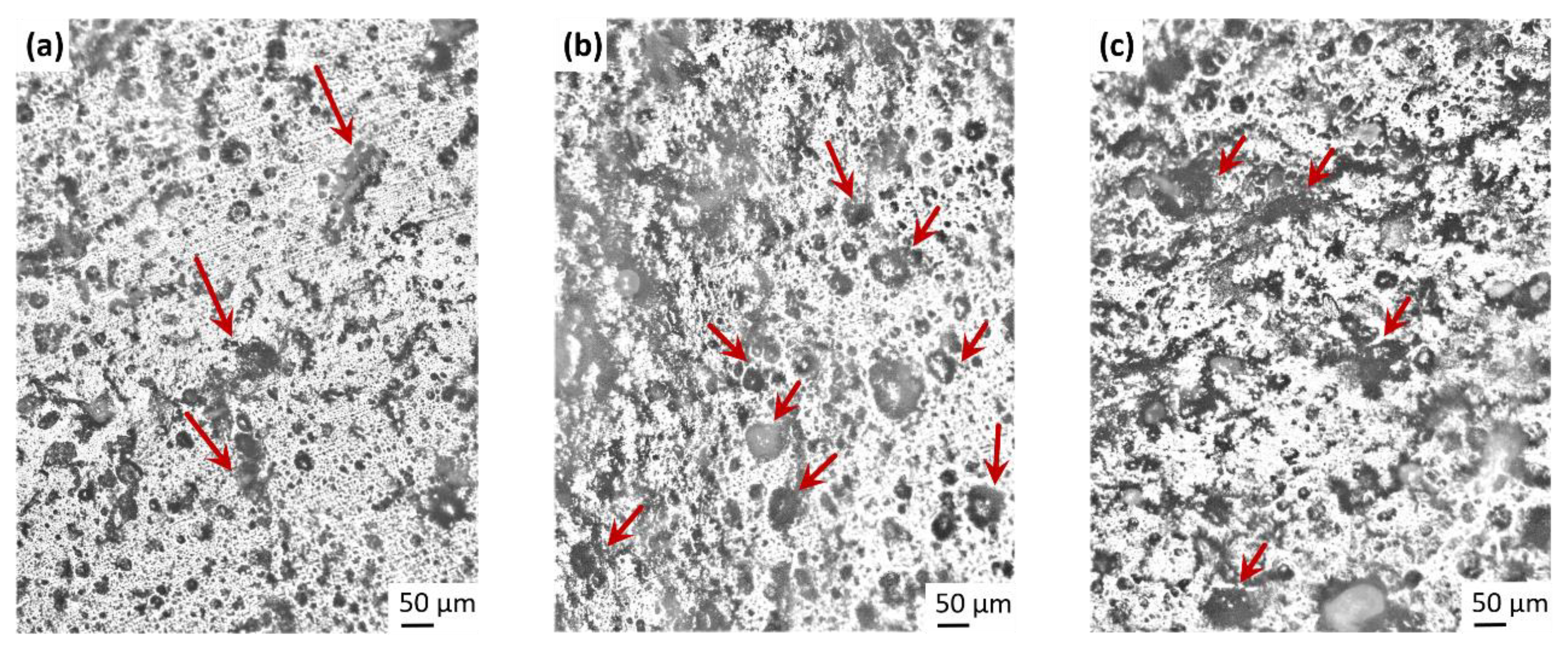 Polymers 13 00698 g005