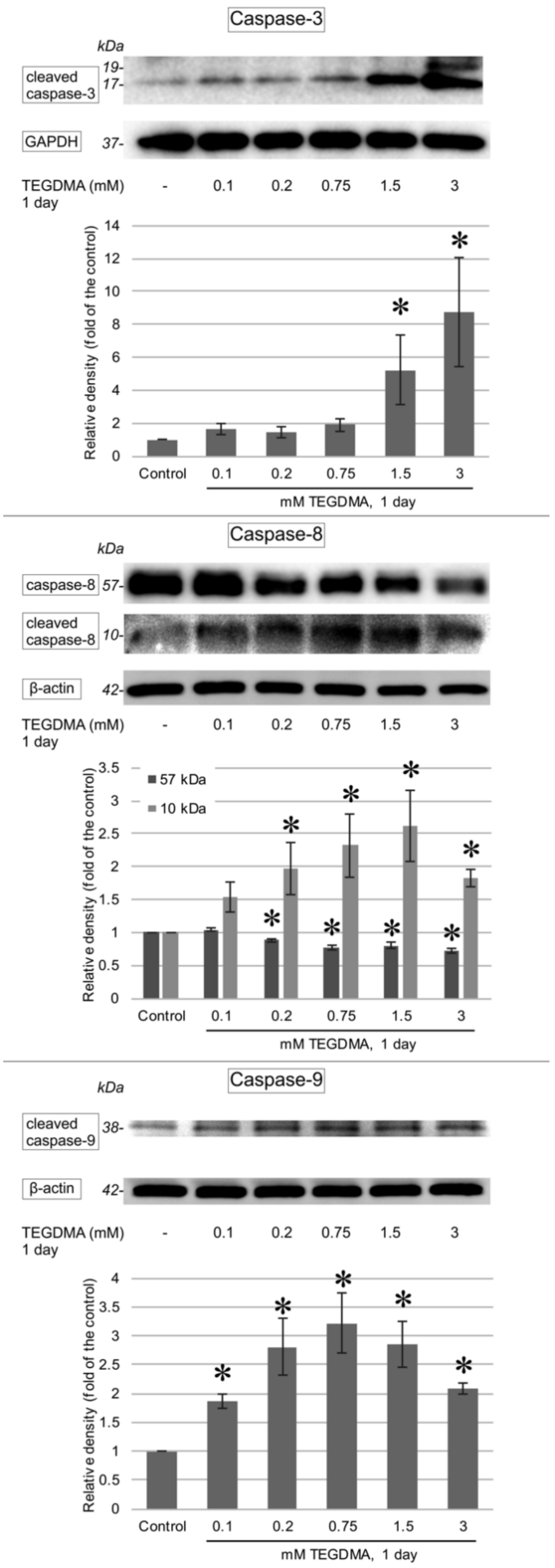 Polymers 13 00699 g007