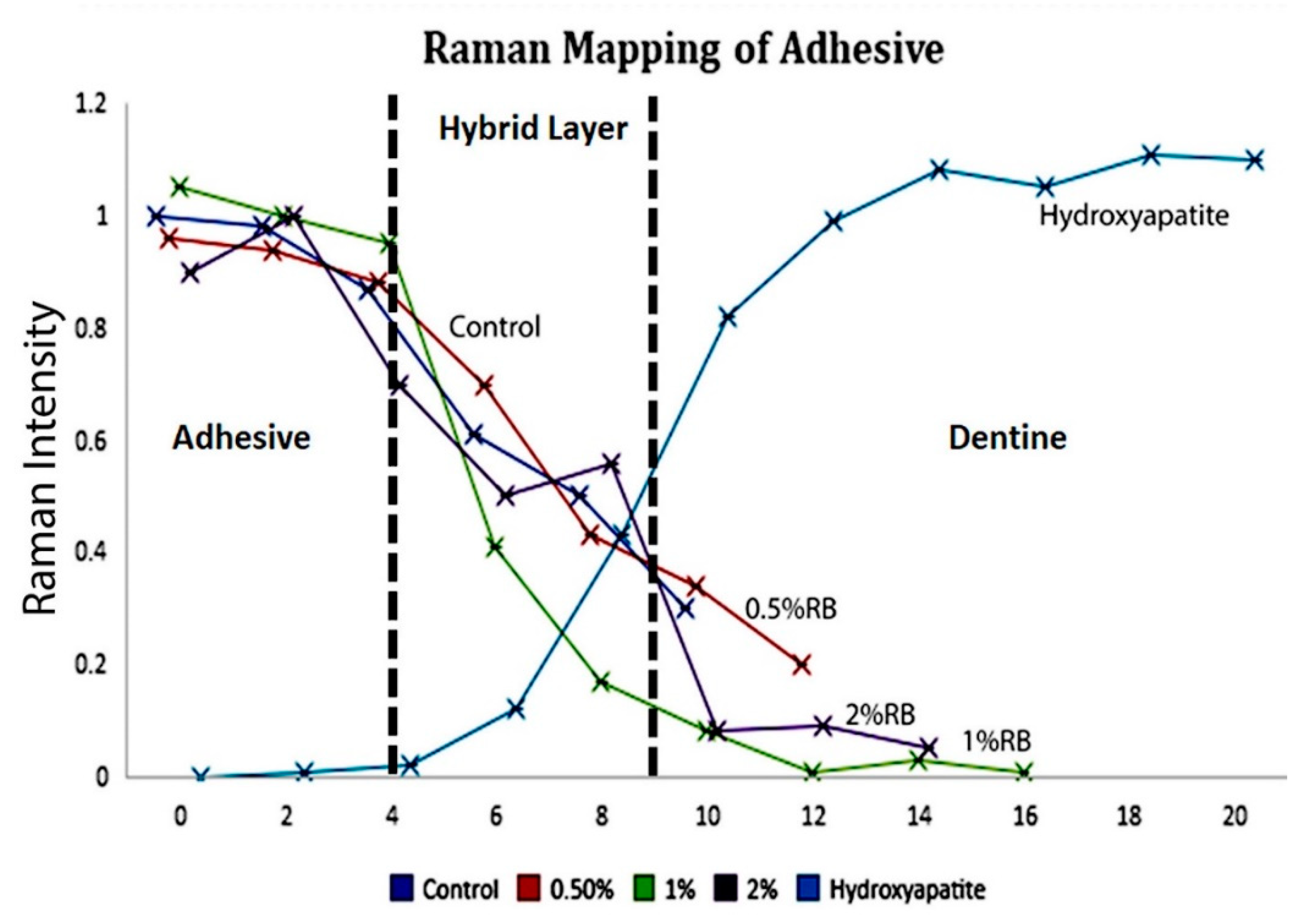 Polymers 13 00704 g002