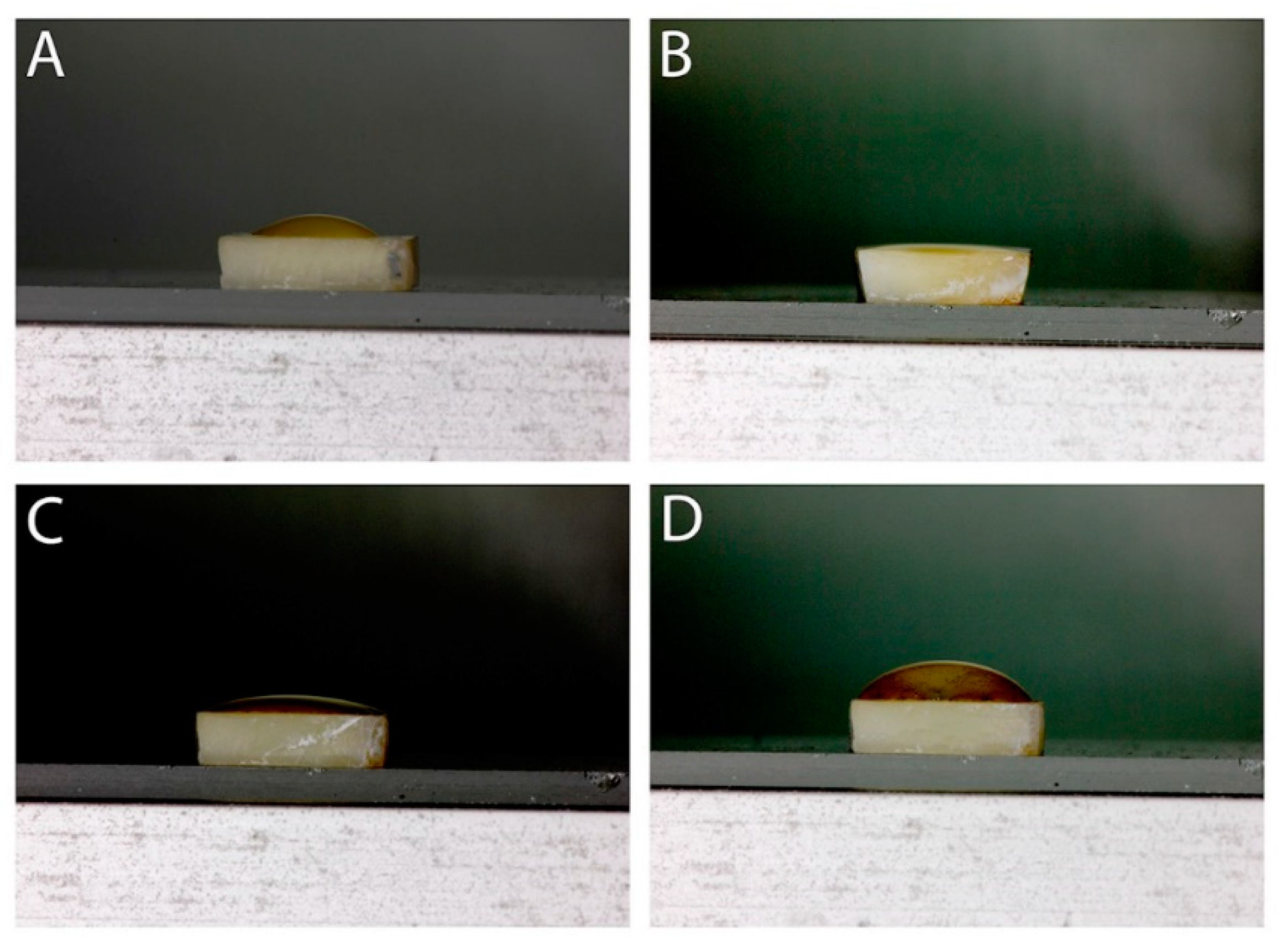 Polymers 13 00704 g003