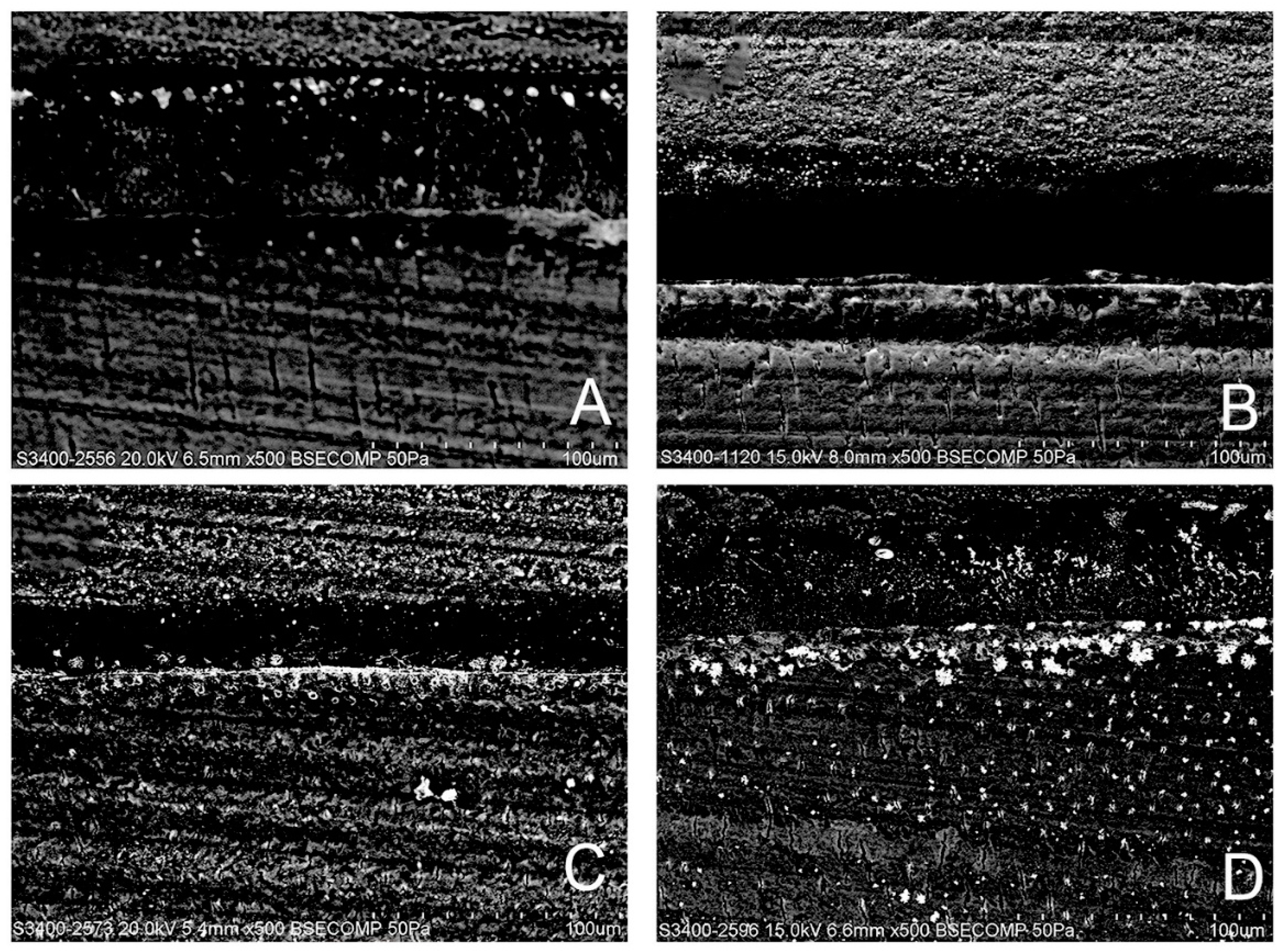 Polymers 13 00704 g005