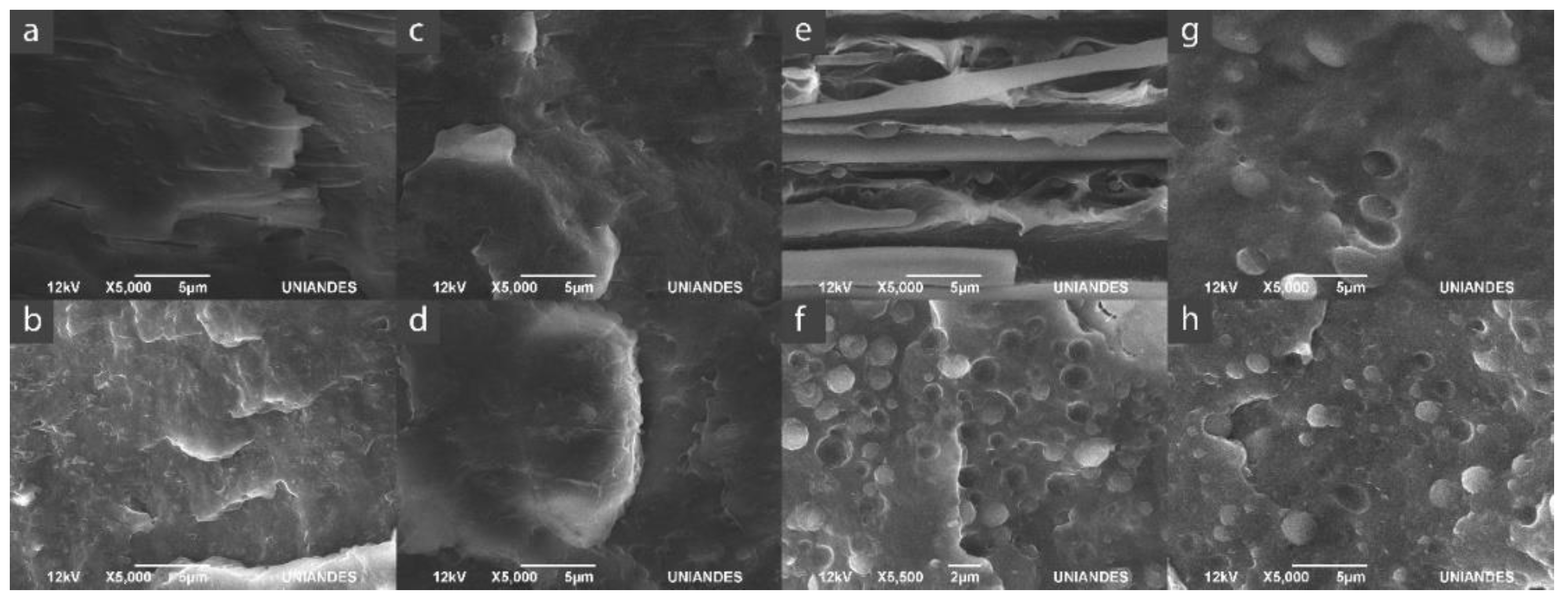 Polymers 13 00705 g001 Polymers 13 00705 g001