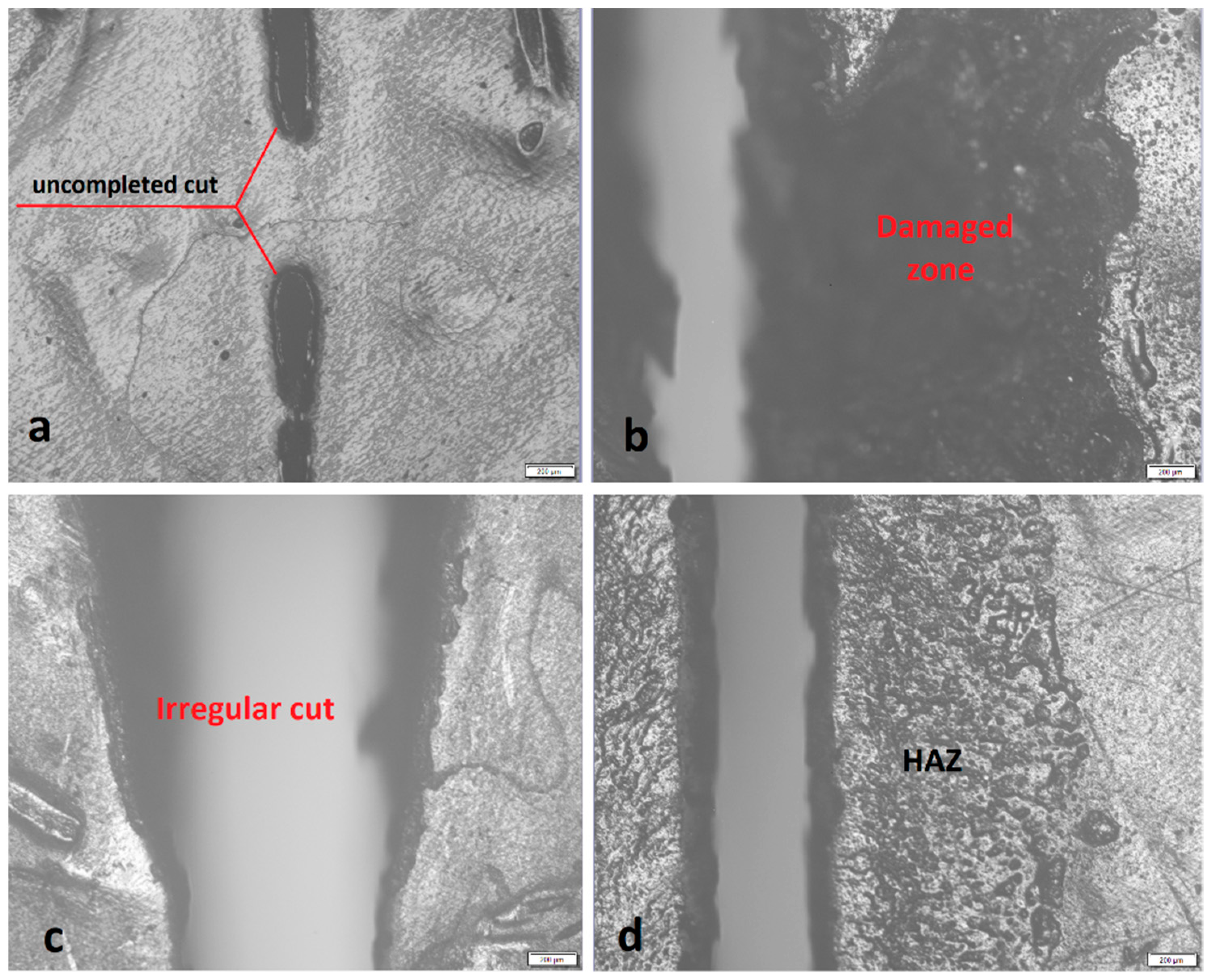 Polymers 13 00706 g001