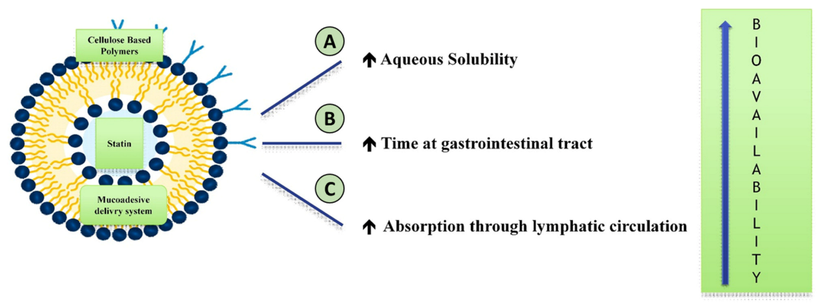 Polymers 13 00711 g002