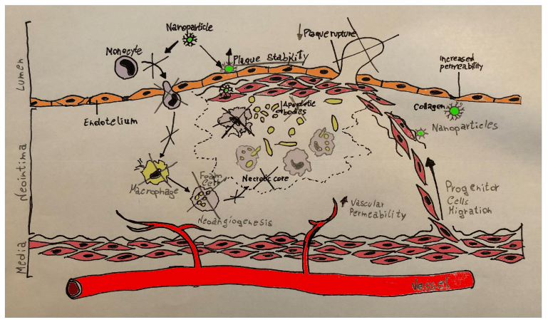 Polymers 13 00711 g003
