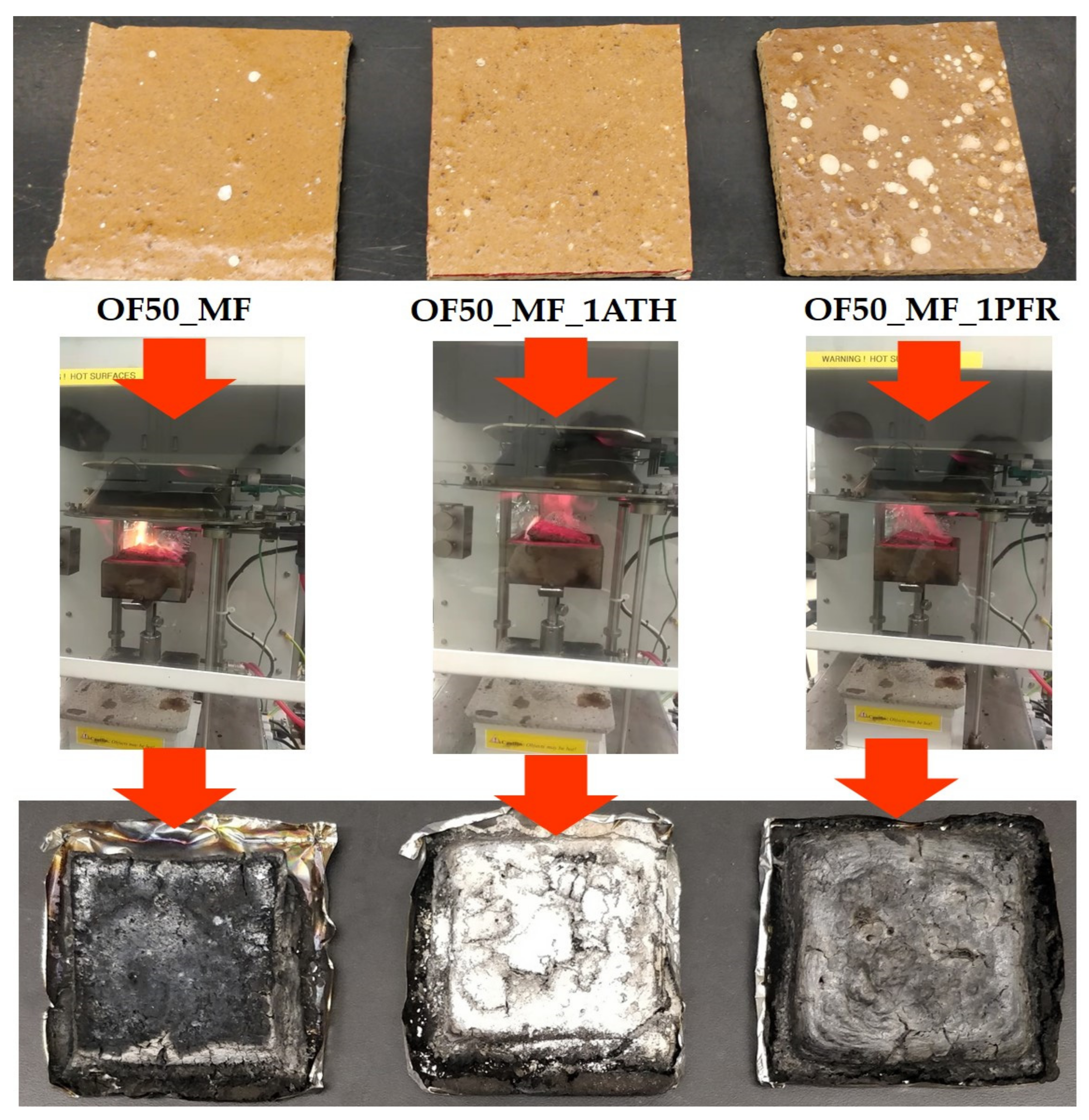 Polymers 13 00712 g004