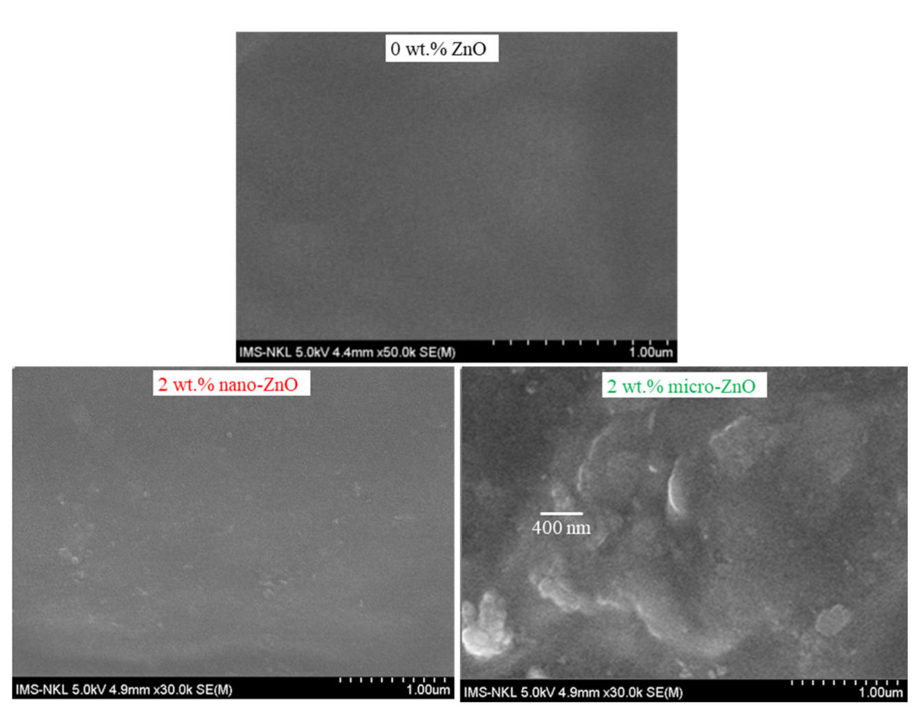 Polymers 13 00717 g002