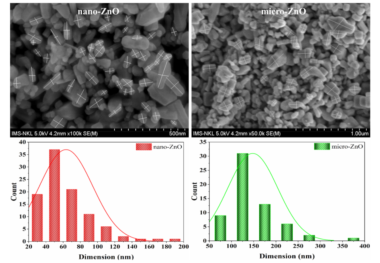 Polymers 13 00717 g003