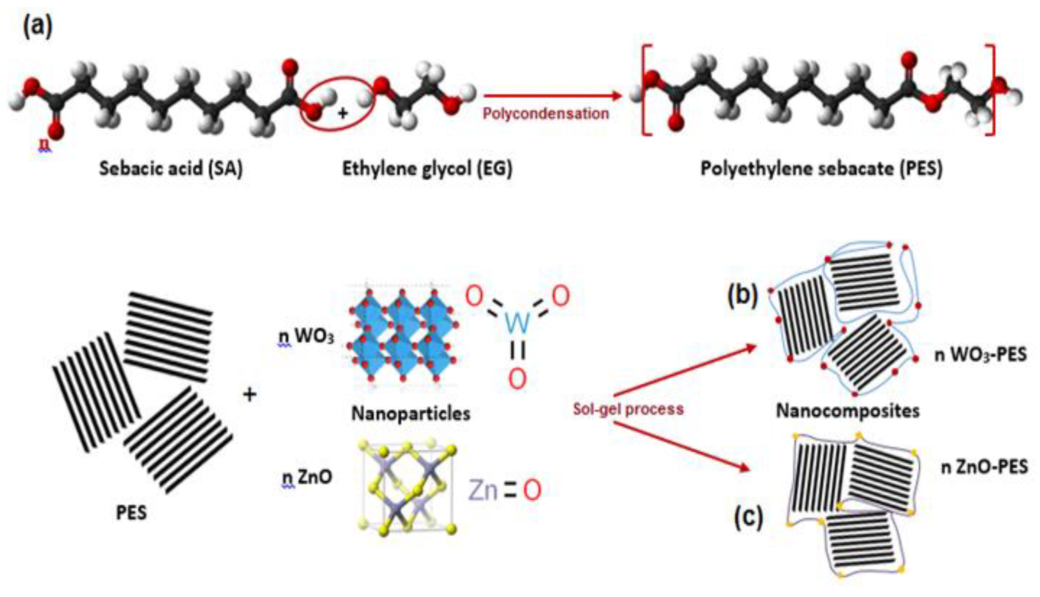 Polymers 13 00718 g001