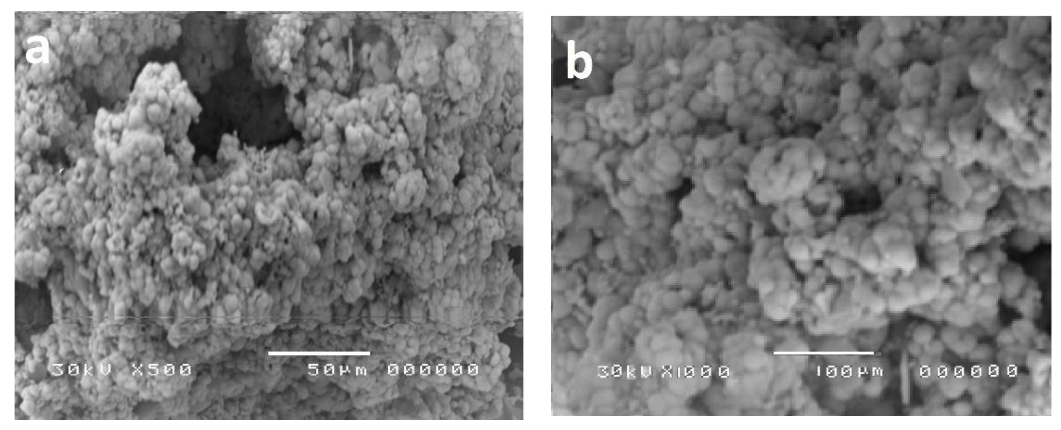 Polymers 13 00718 g004