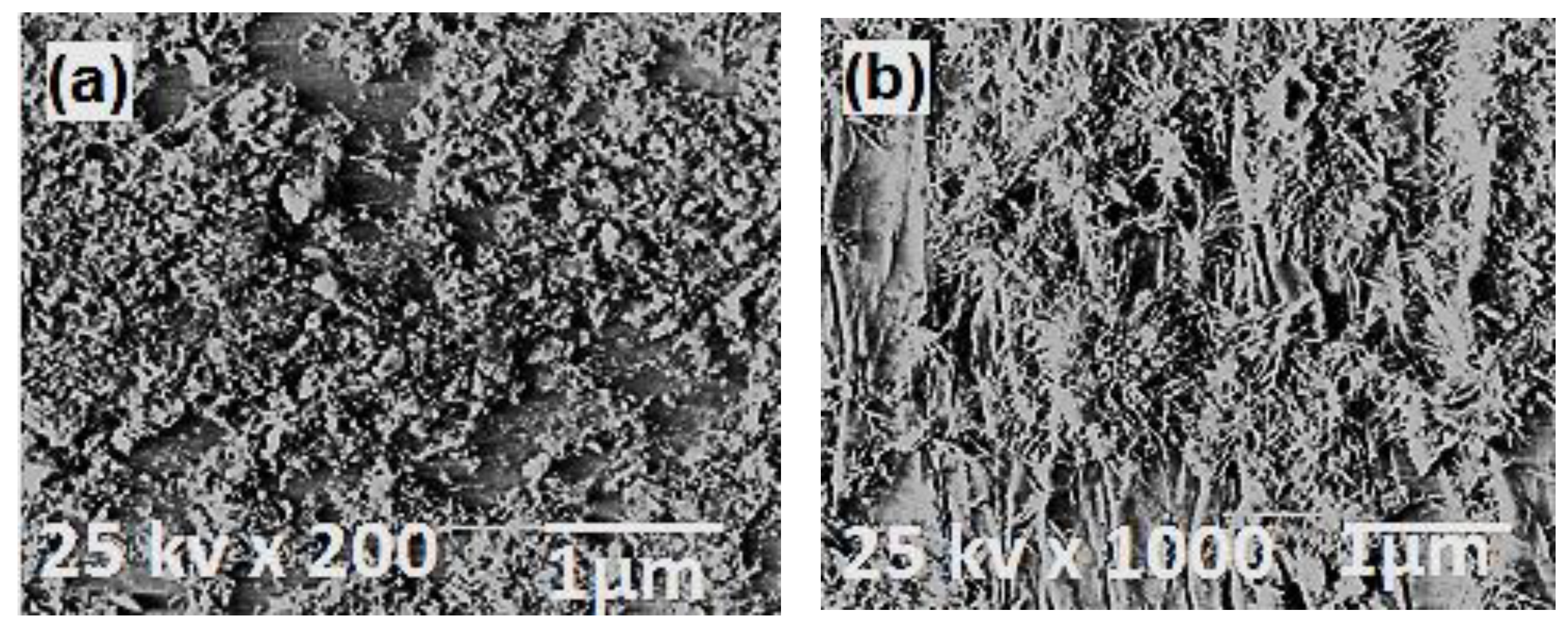 Polymers 13 00718 g005