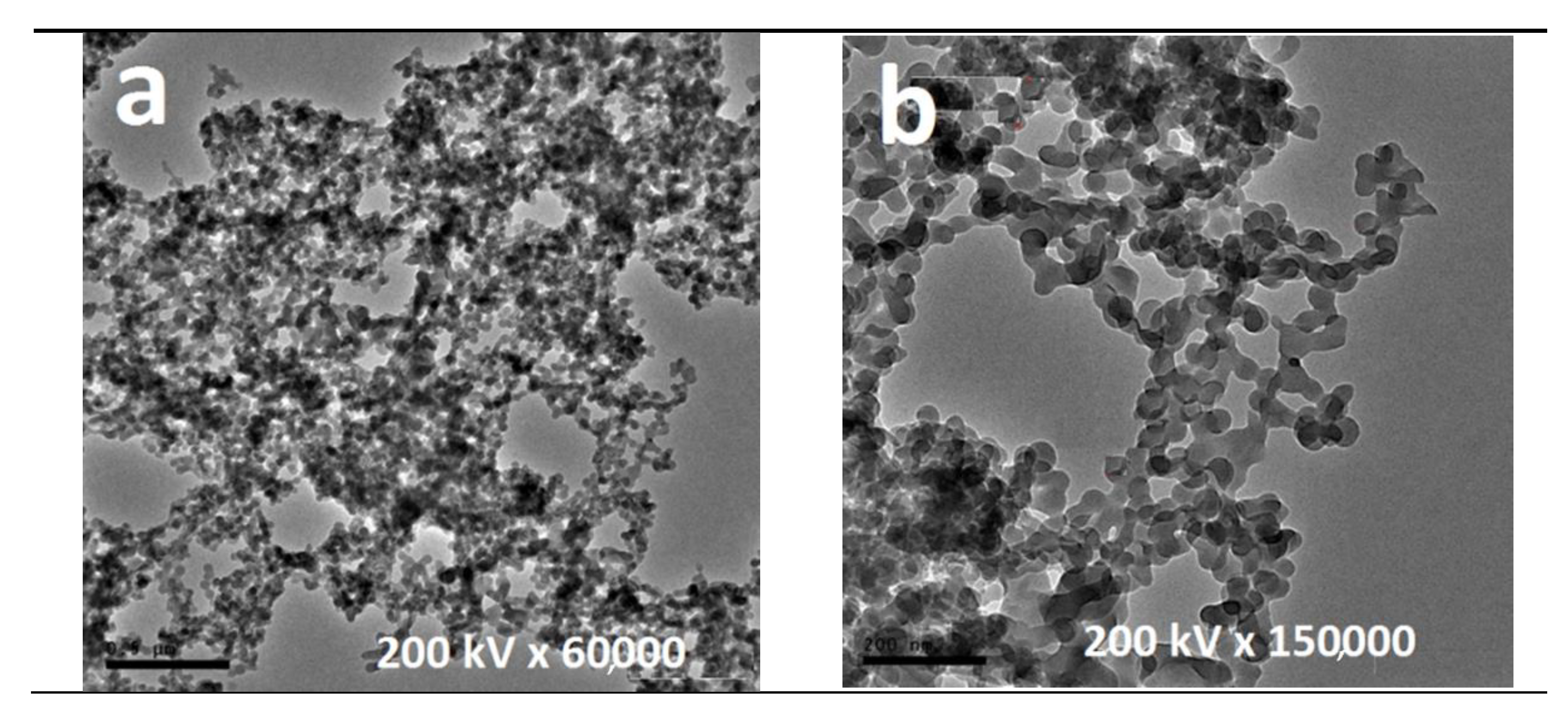 Polymers 13 00718 g006