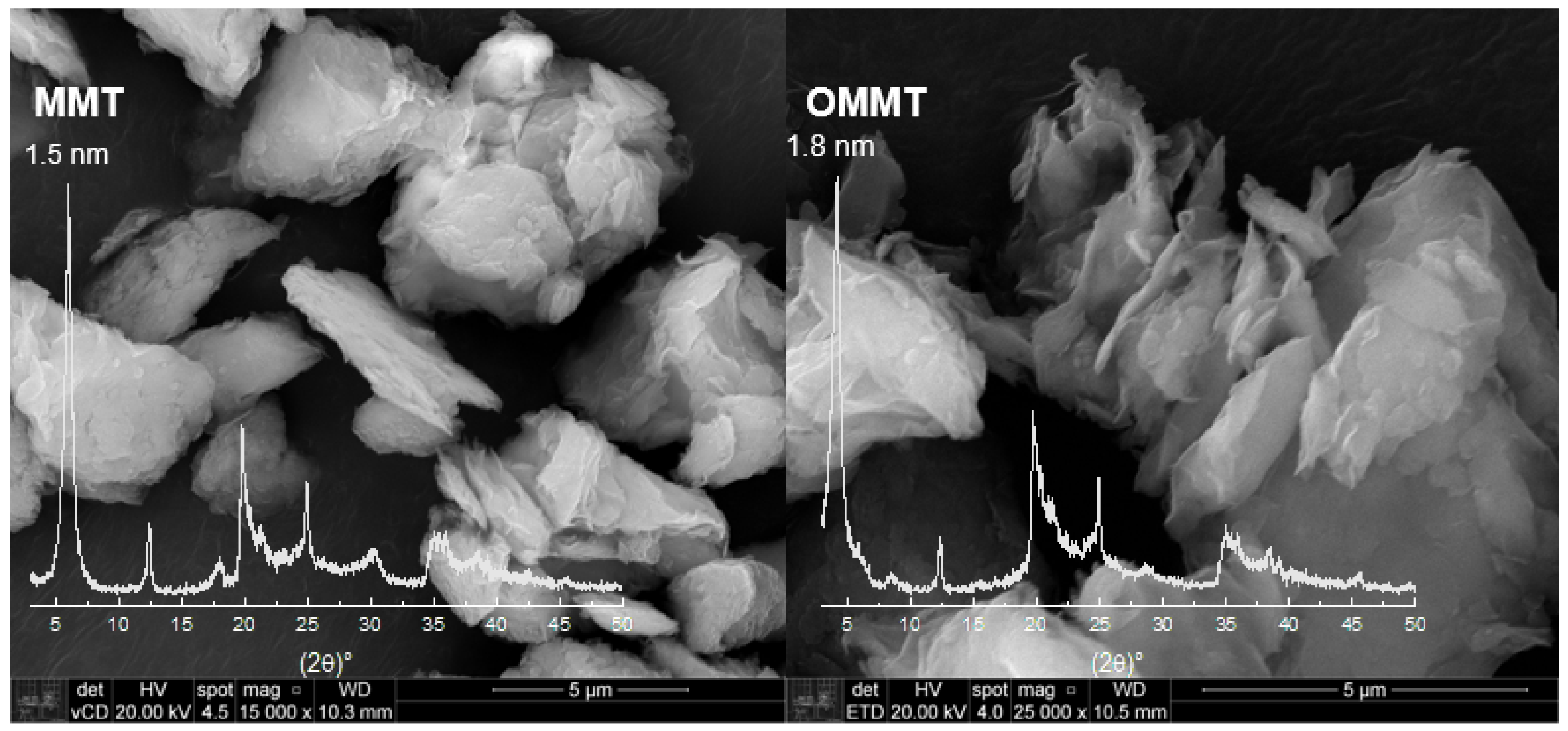 Polymers 13 00722 g001