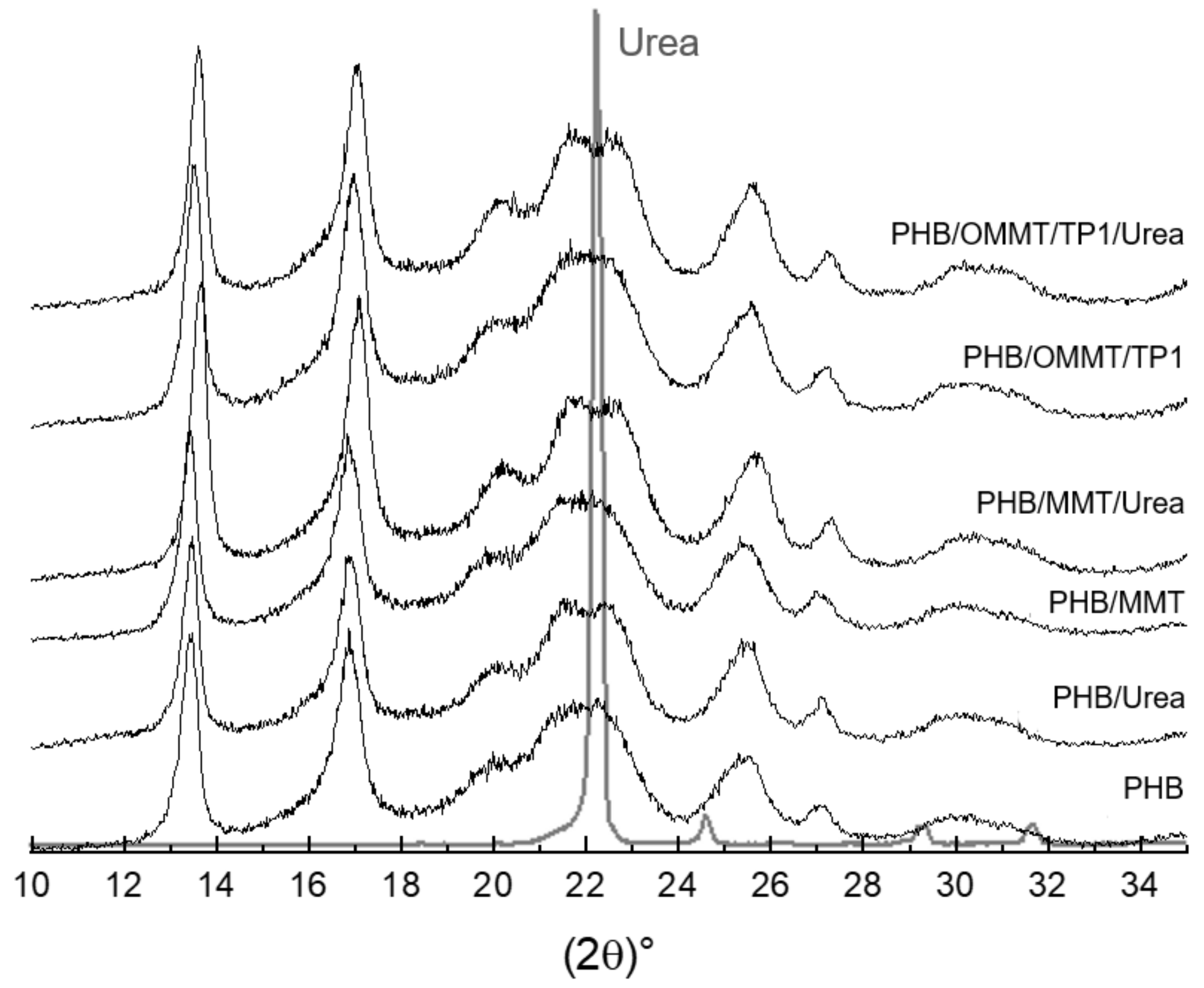 Polymers 13 00722 g004