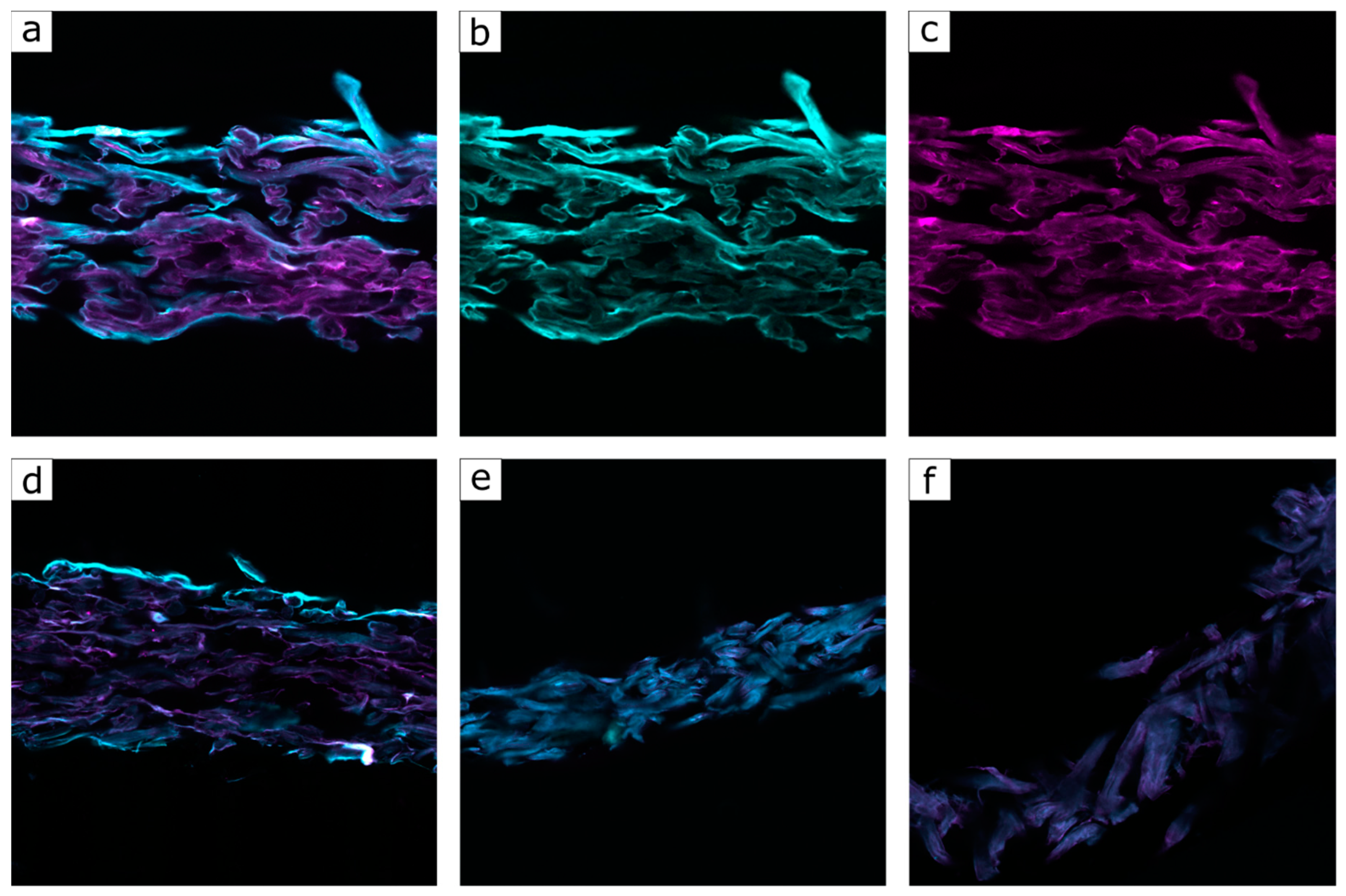 Polymers 13 00723 g011