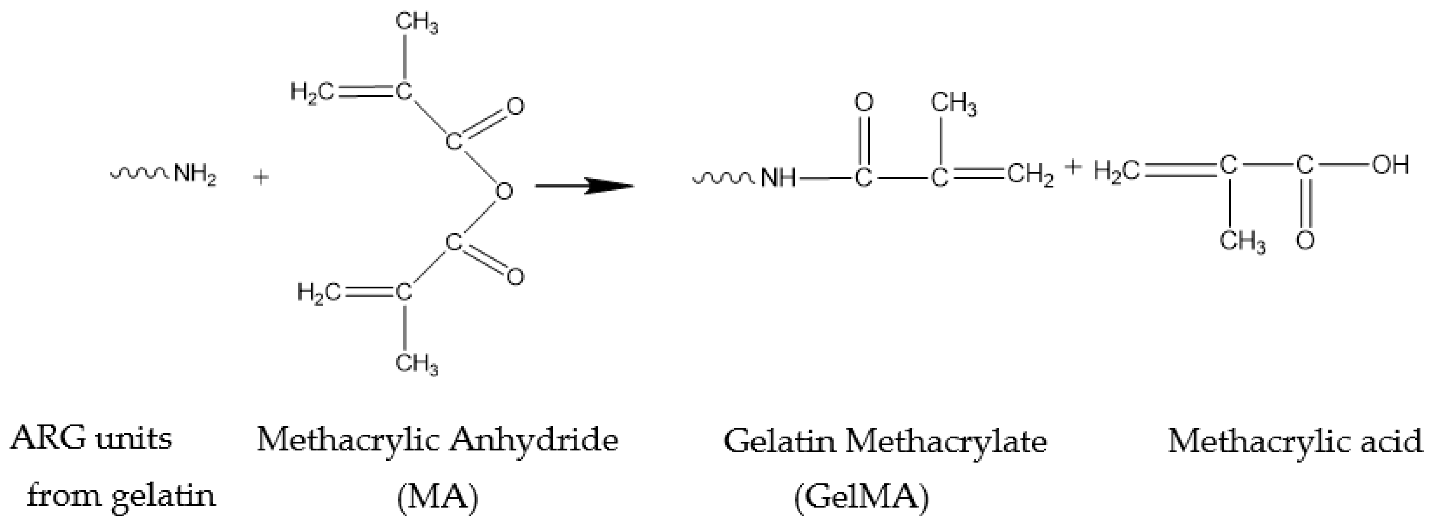 Polymers 13 00727 g001