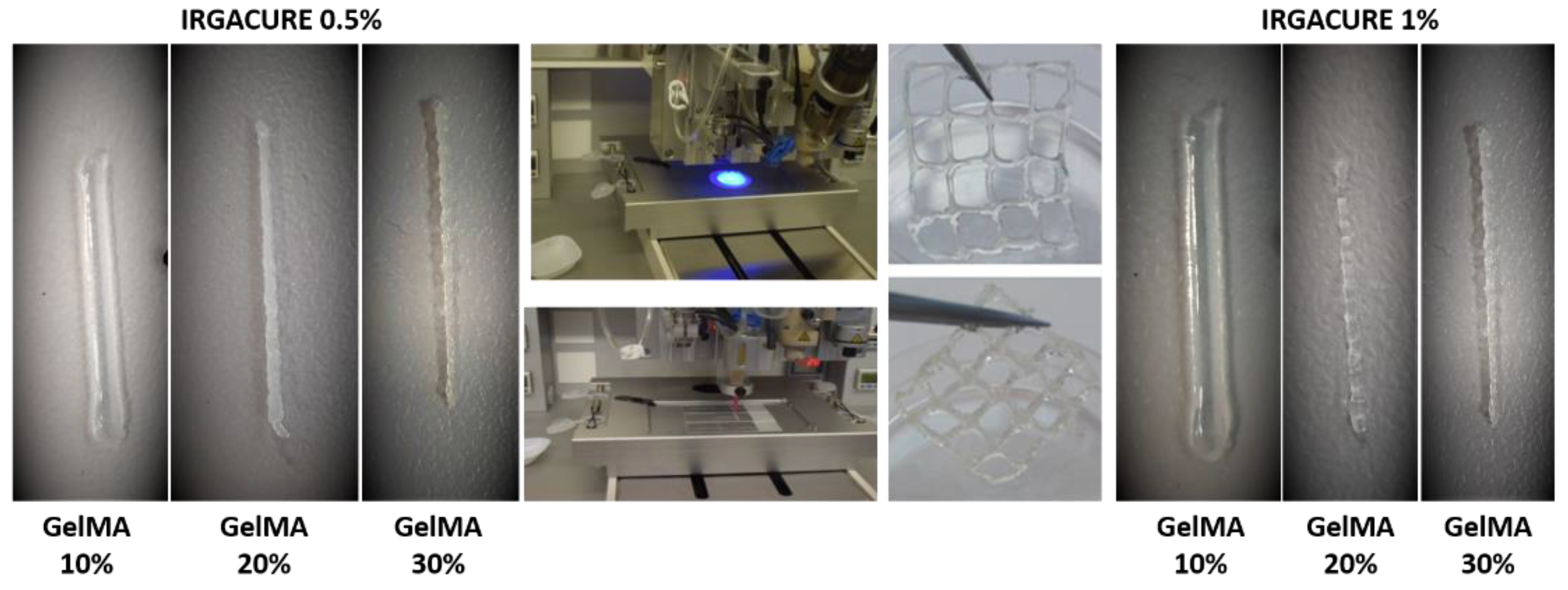 Polymers 13 00727 g006