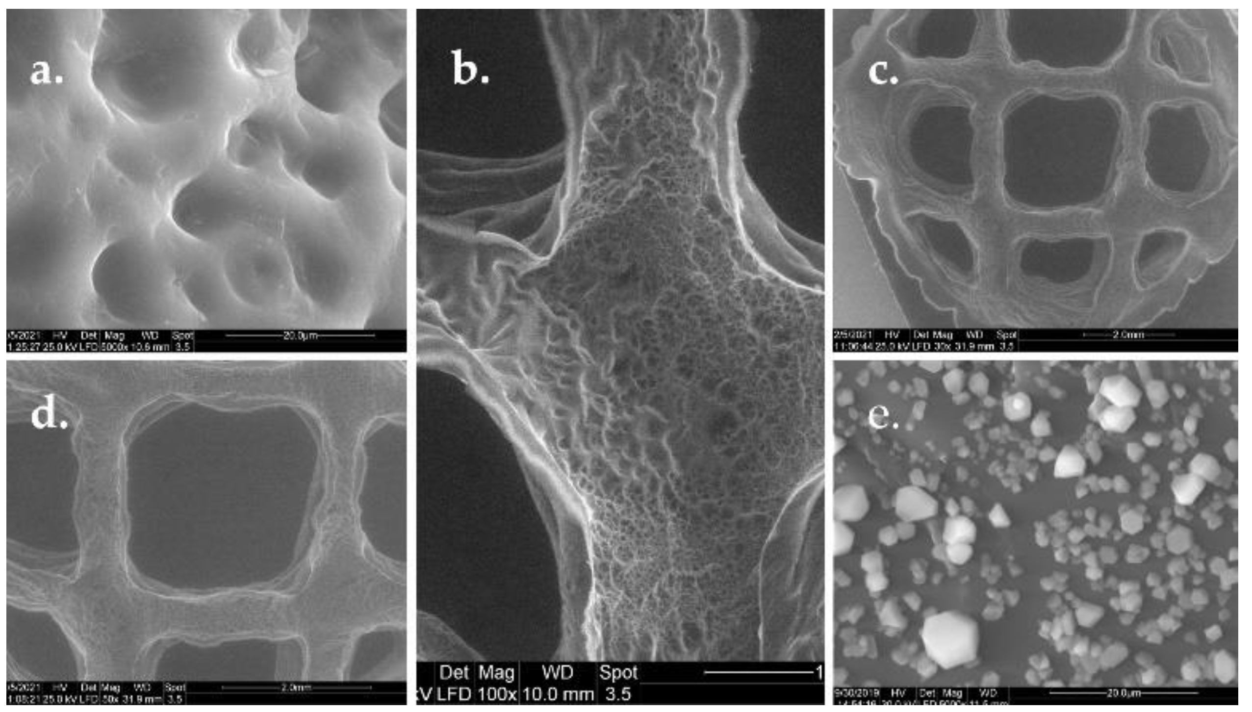 Polymers 13 00727 g007