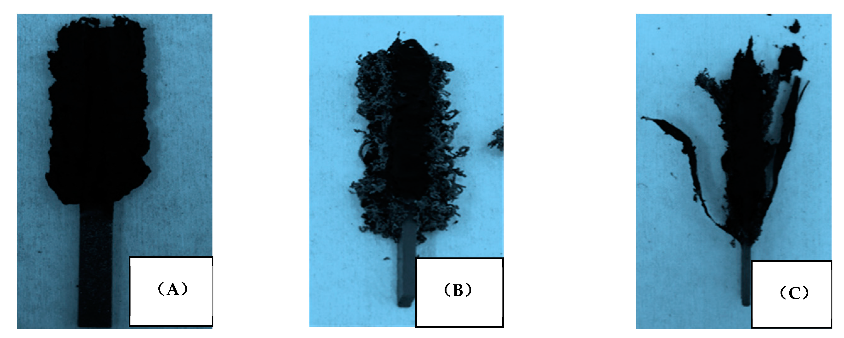 Polymers 13 00731 g003