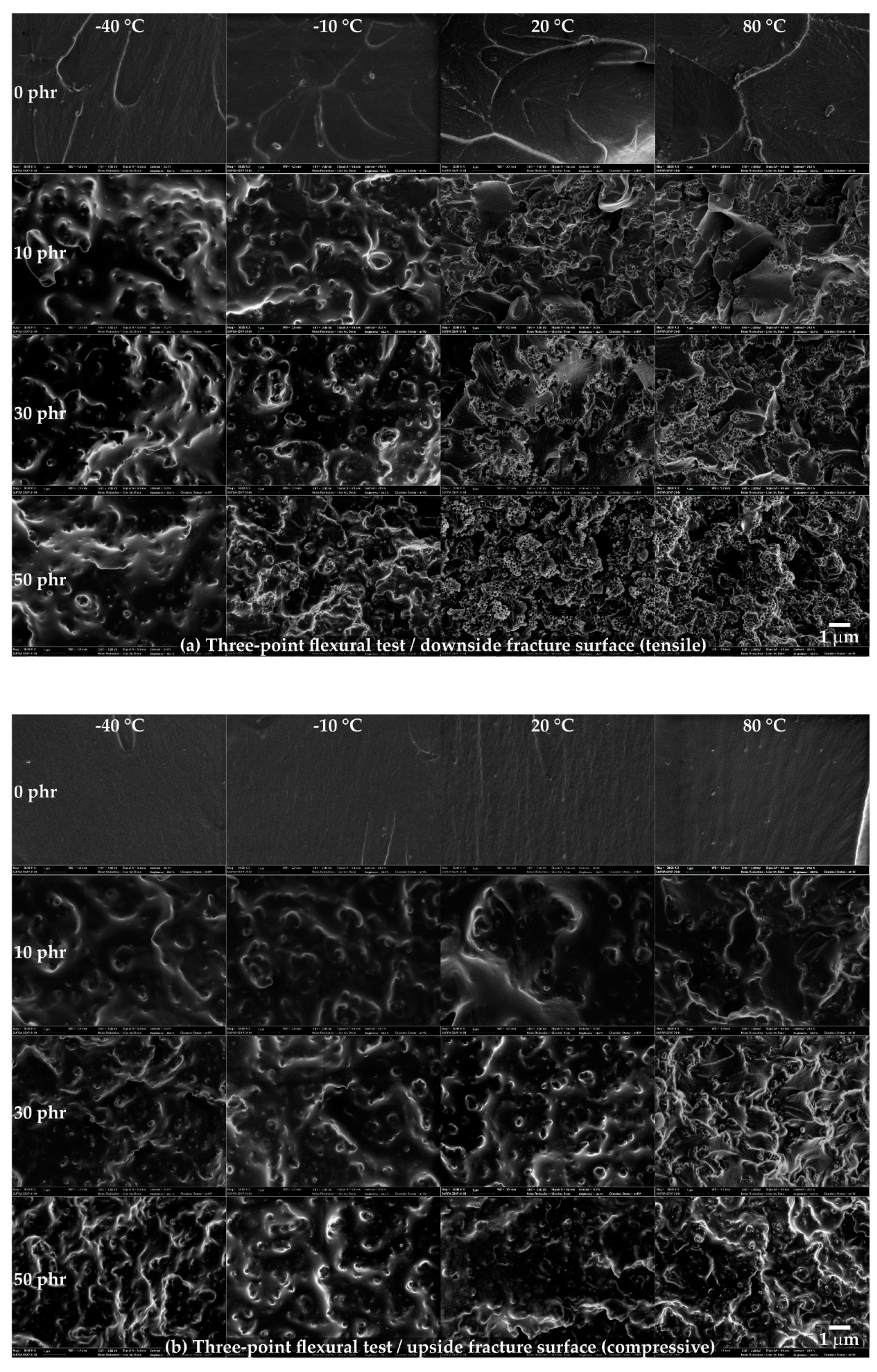 Polymers 13 00734 g007