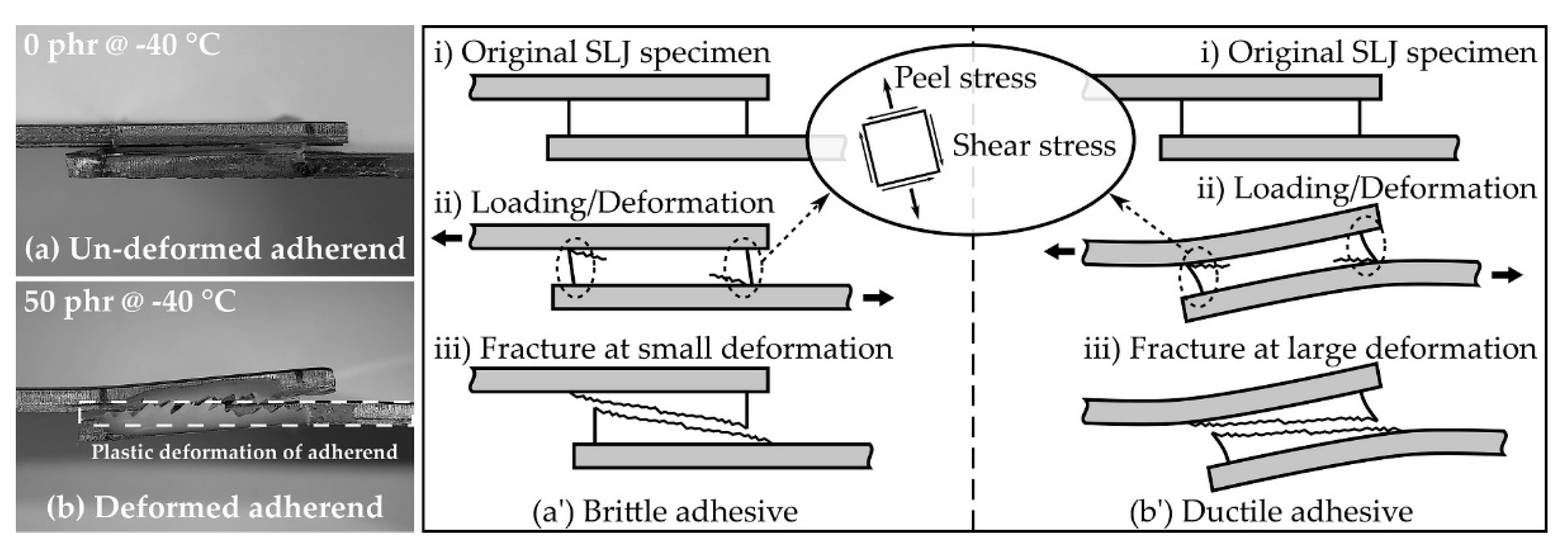 Polymers 13 00734 g010