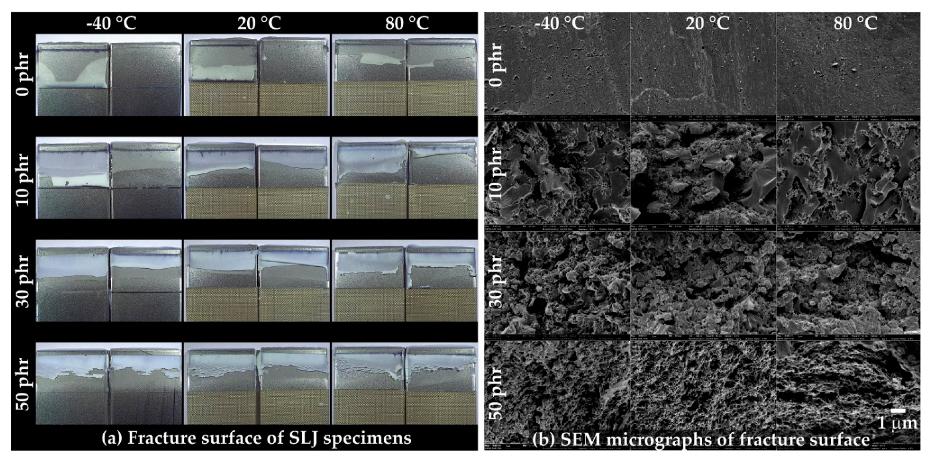 Polymers 13 00734 g011