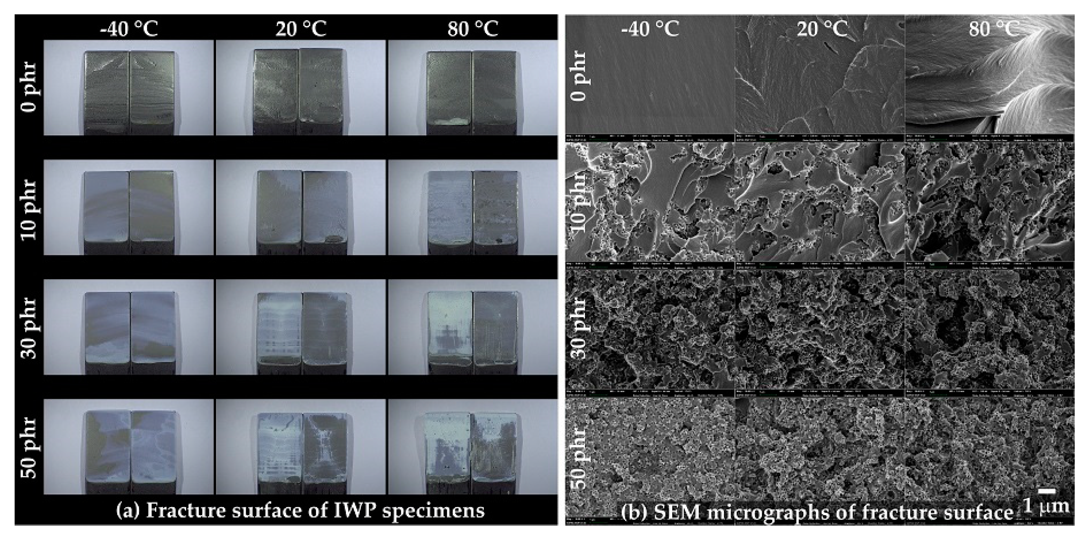 Polymers 13 00734 g014