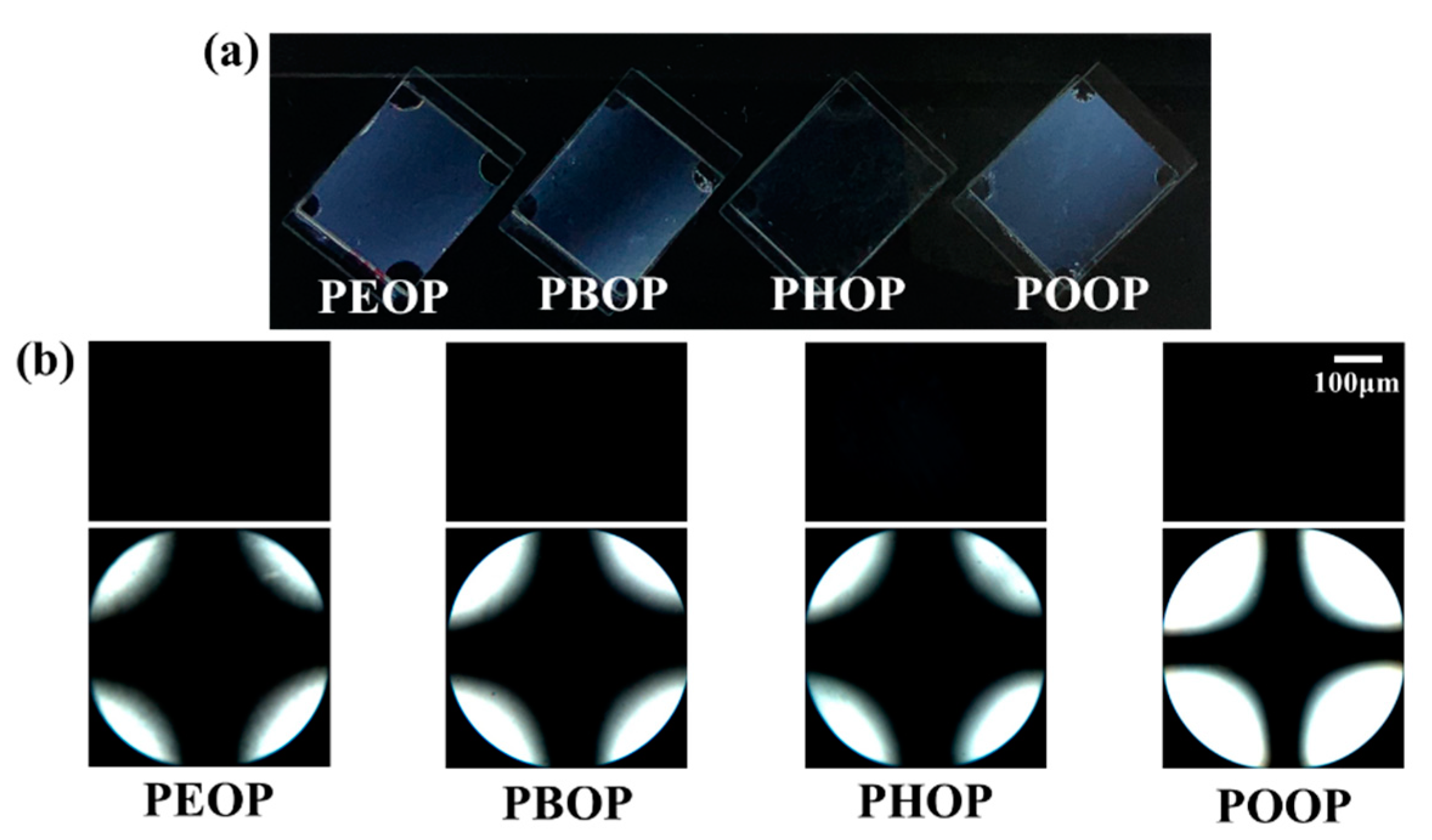 Polymers 13 00736 g004